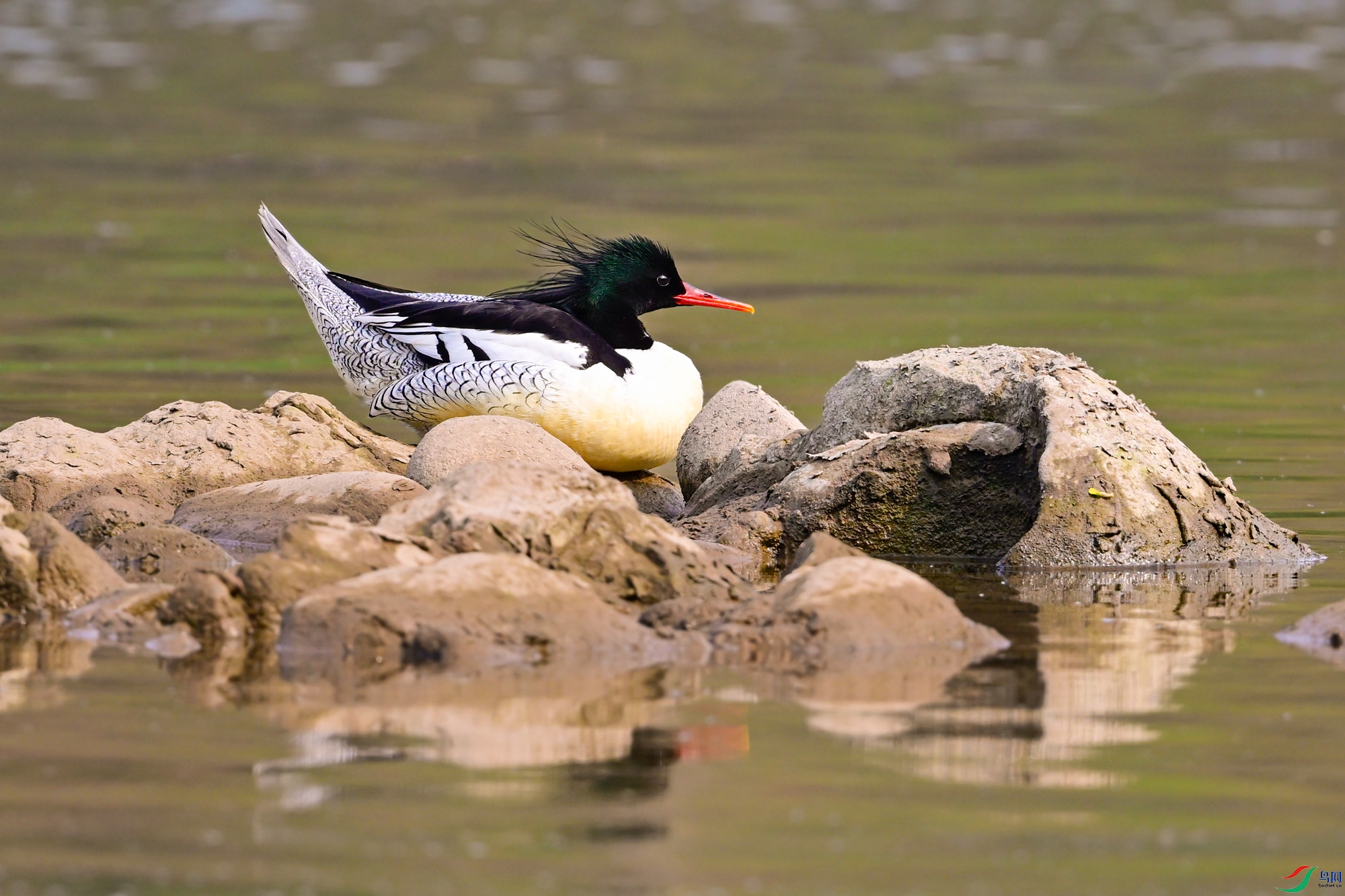_DSC7313x.jpg