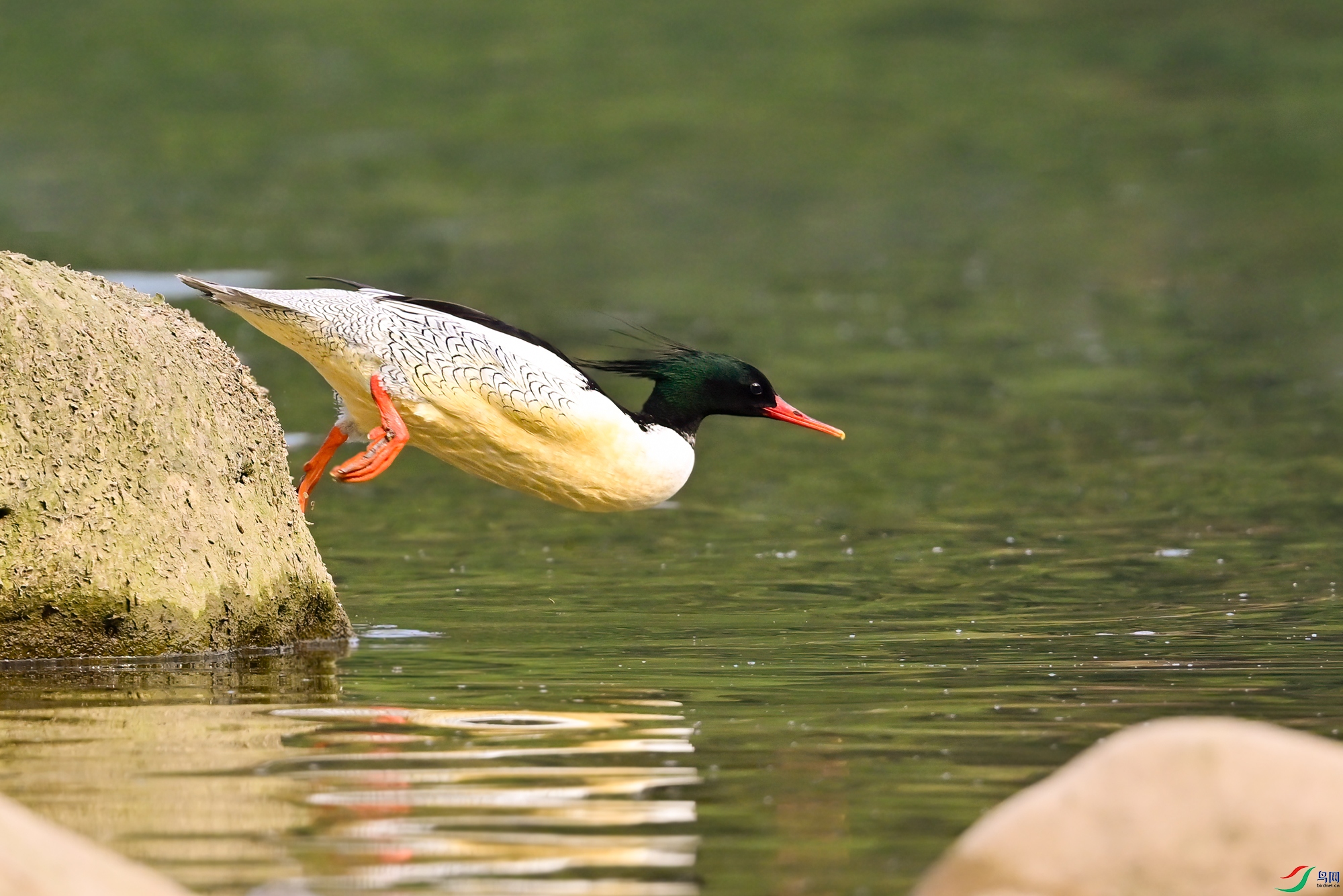 _DSC8257x.jpg