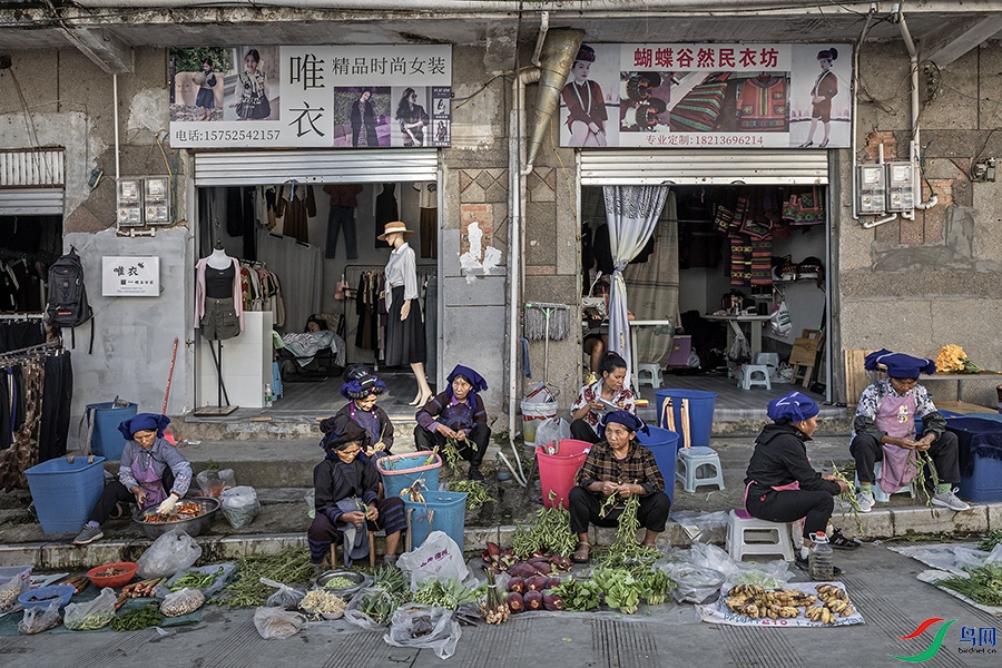 3V6A4710 ����.jpg