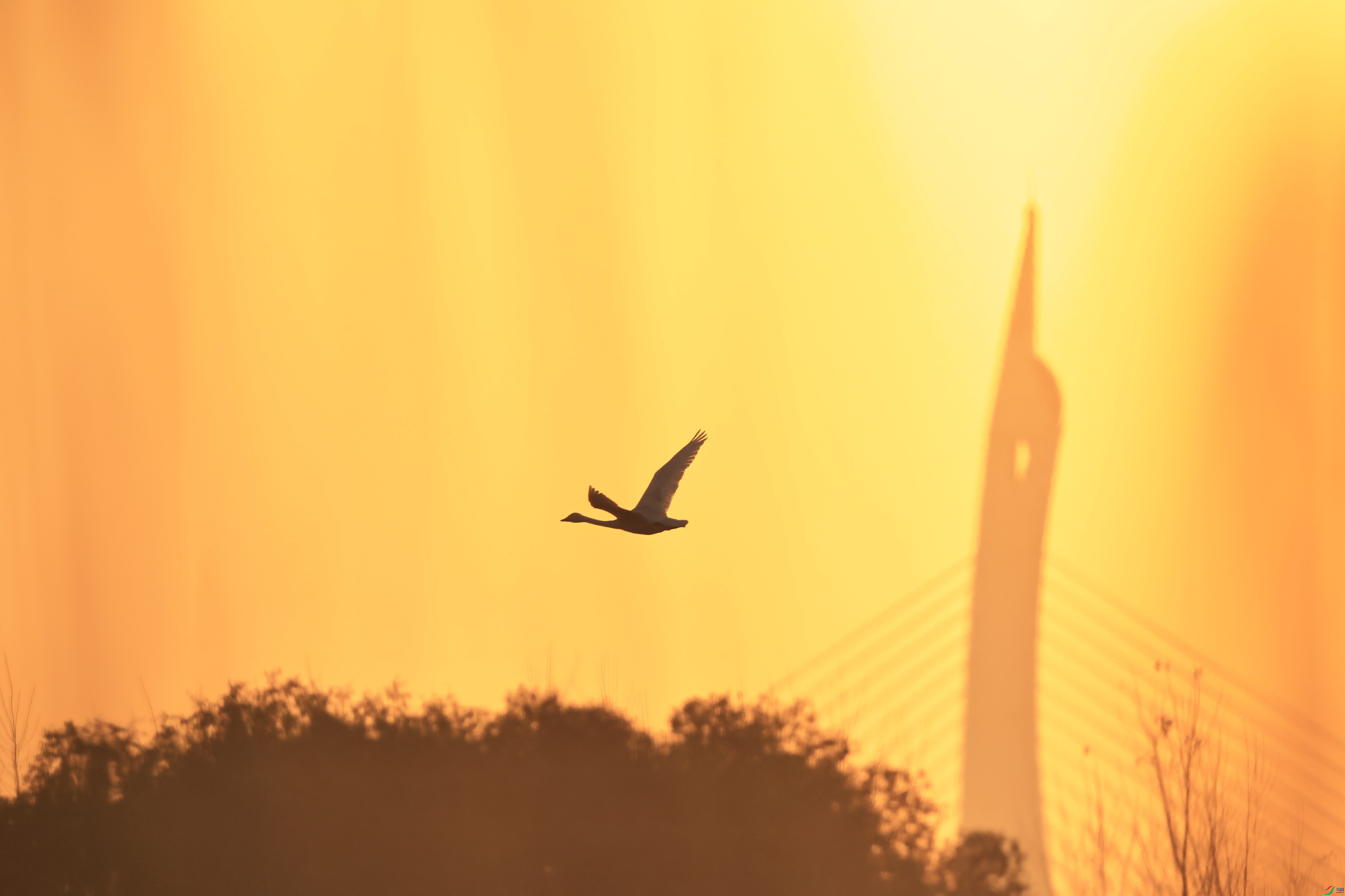 ���� _98A7593 - ����.jpg