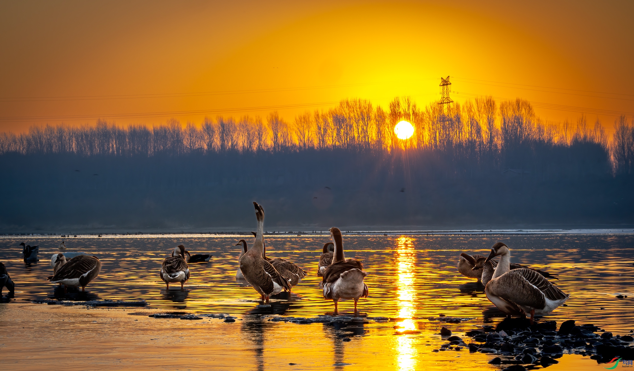 ��ӳ���0C4A6138.jpg