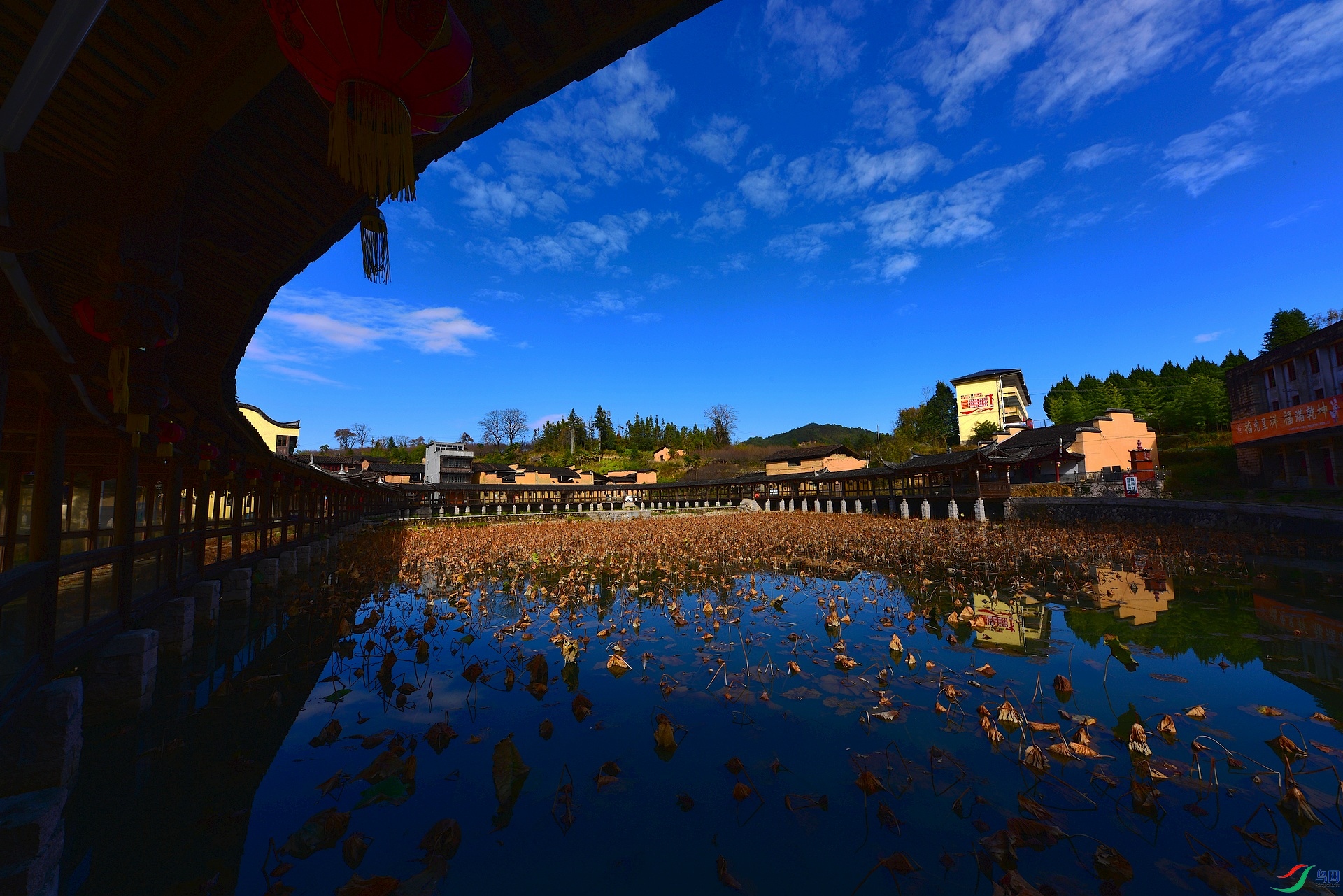 D8I_8520.jpg