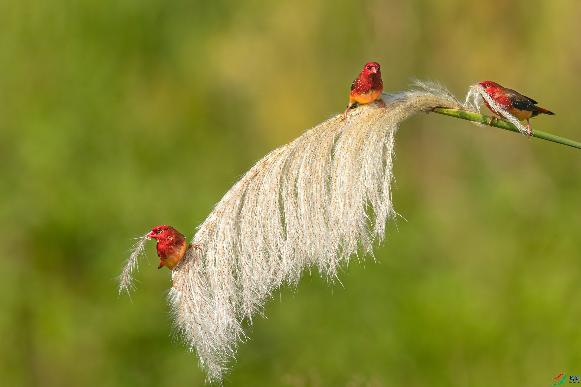 B86I3192 _����.jpg