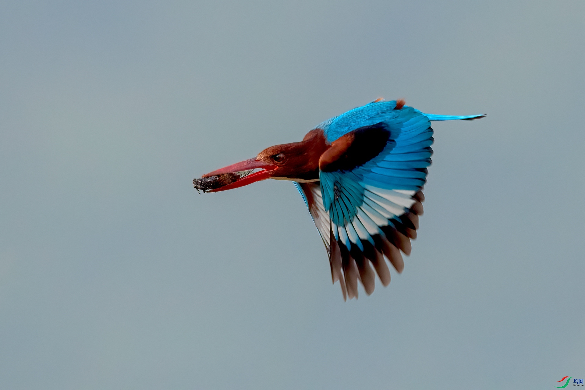 B86I5452 _����.jpg