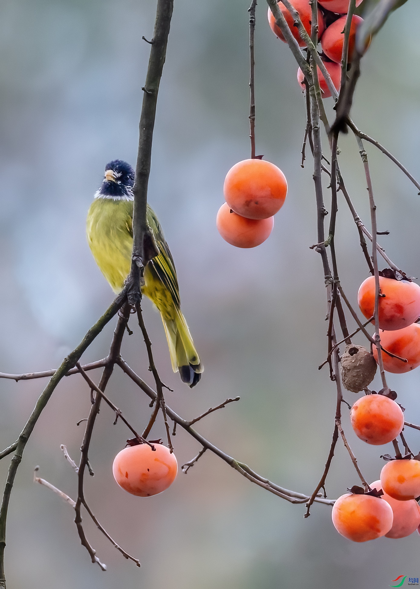 0M3A3365 ����.jpg