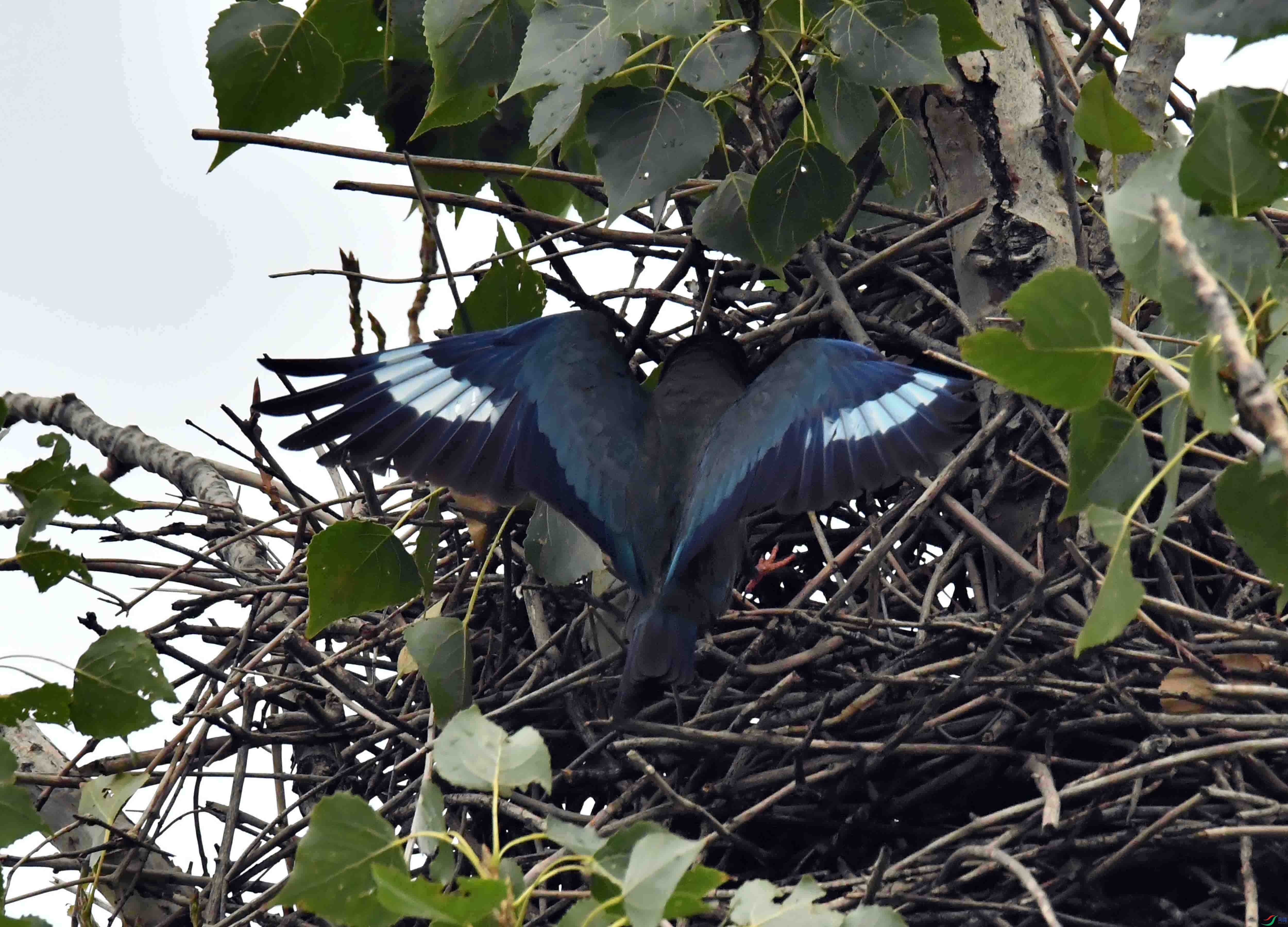 DSC_2903.JPG