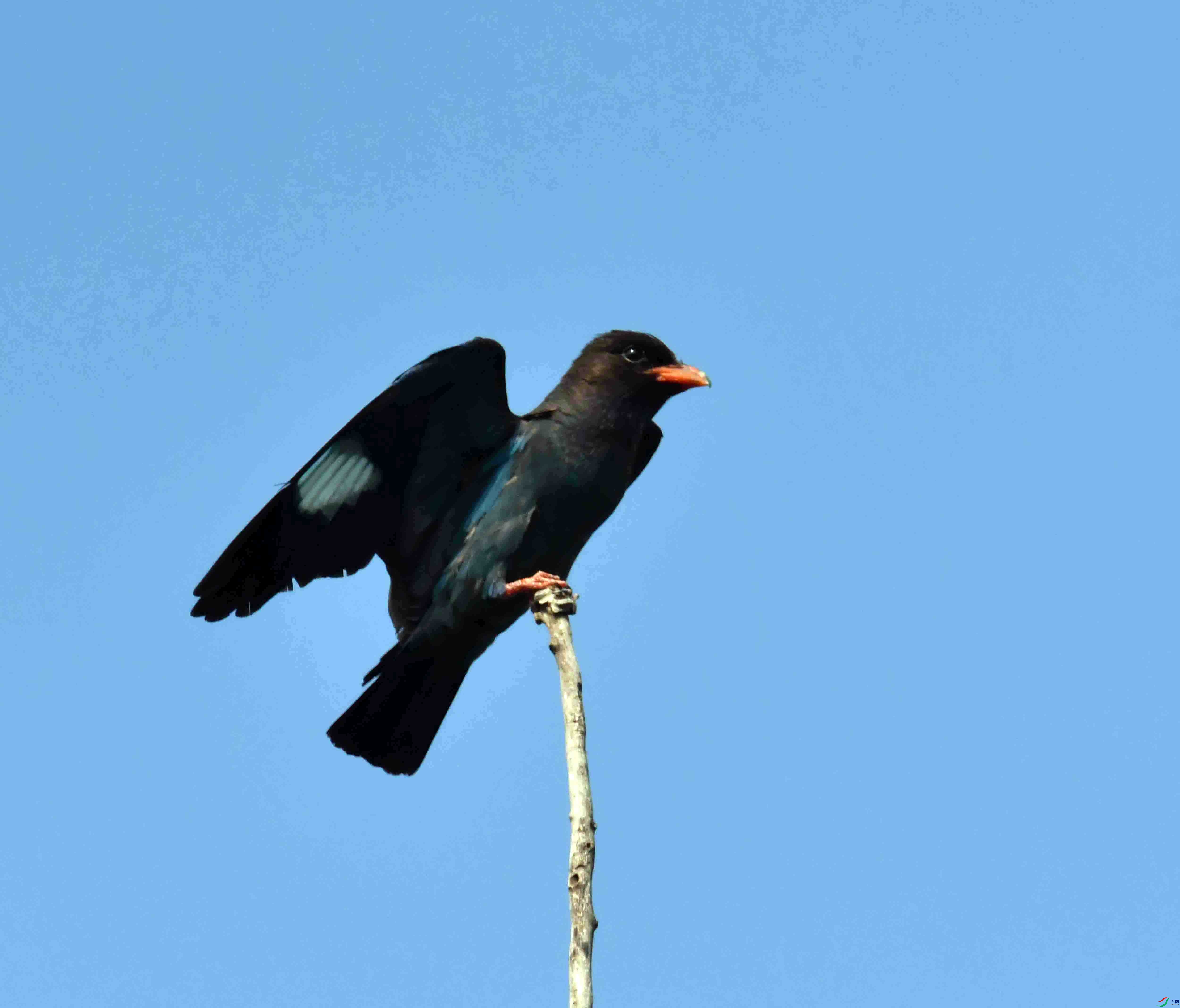 DSC_4268.JPG