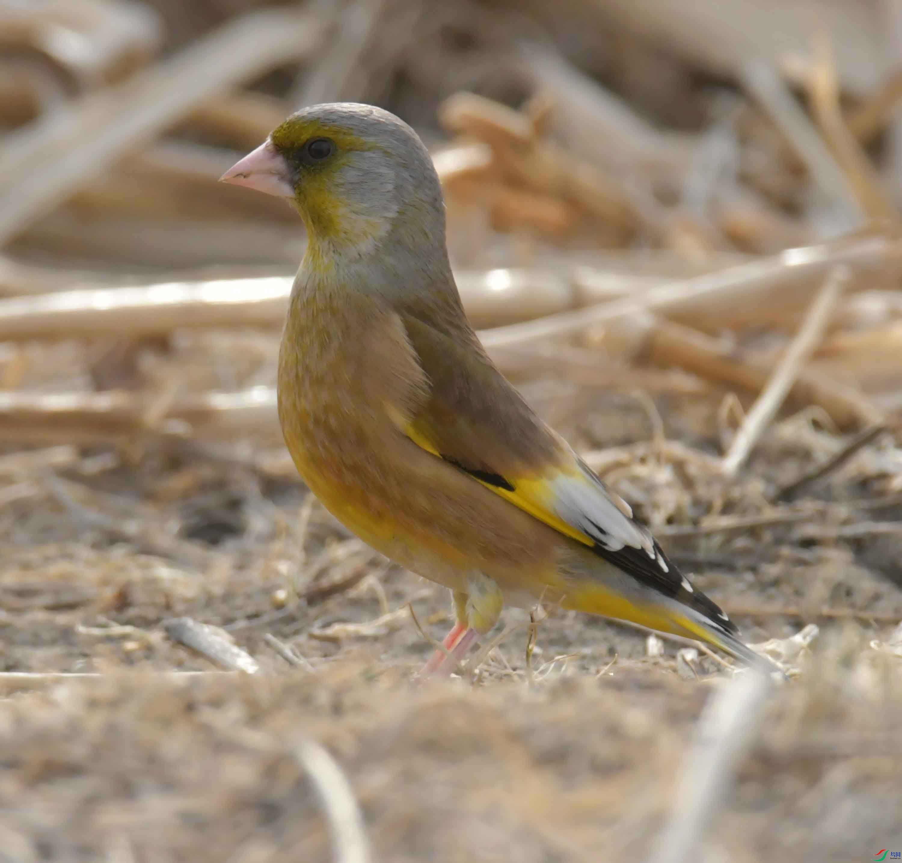 DSC_9979.JPG