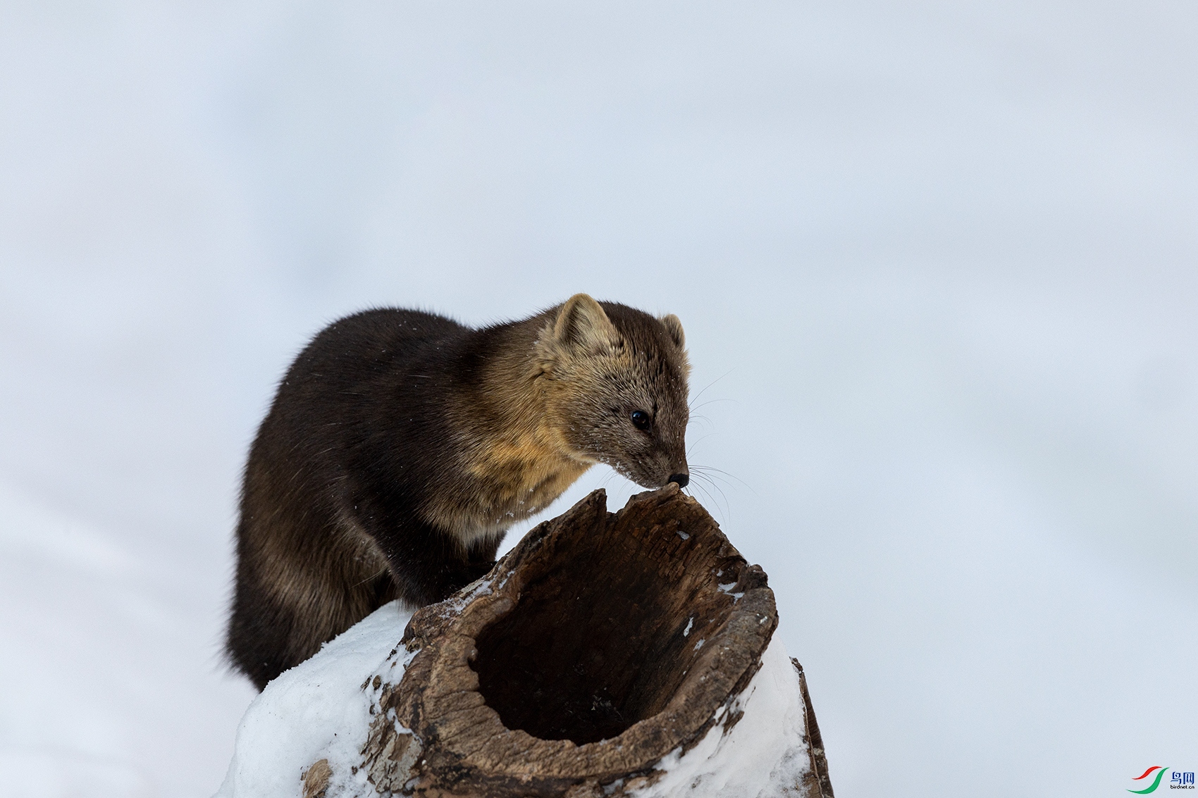 ����----������é®��