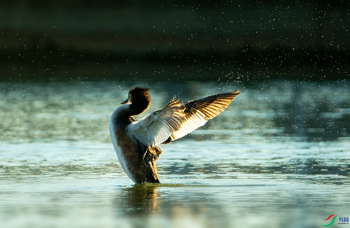 230530 (181).jpg