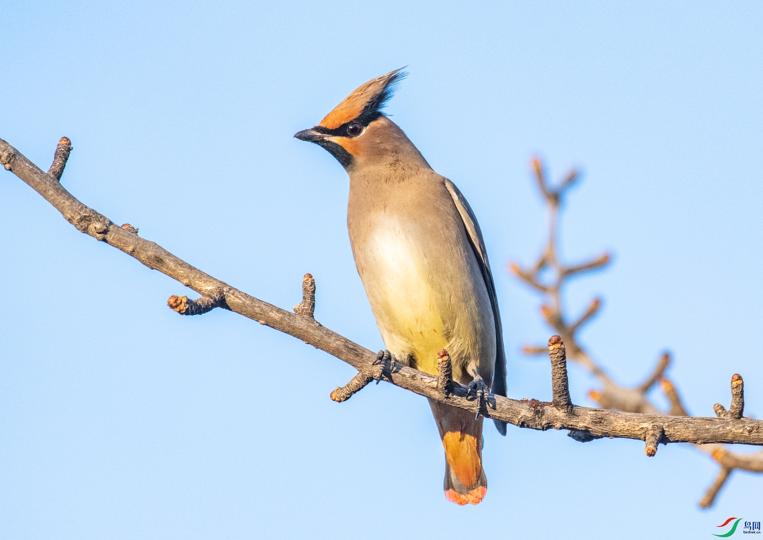 DSC_3943.jpg
