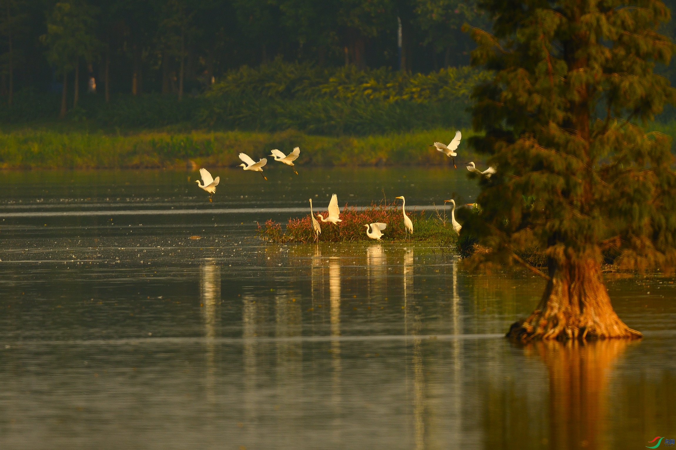 DSC_6415_413.JPG