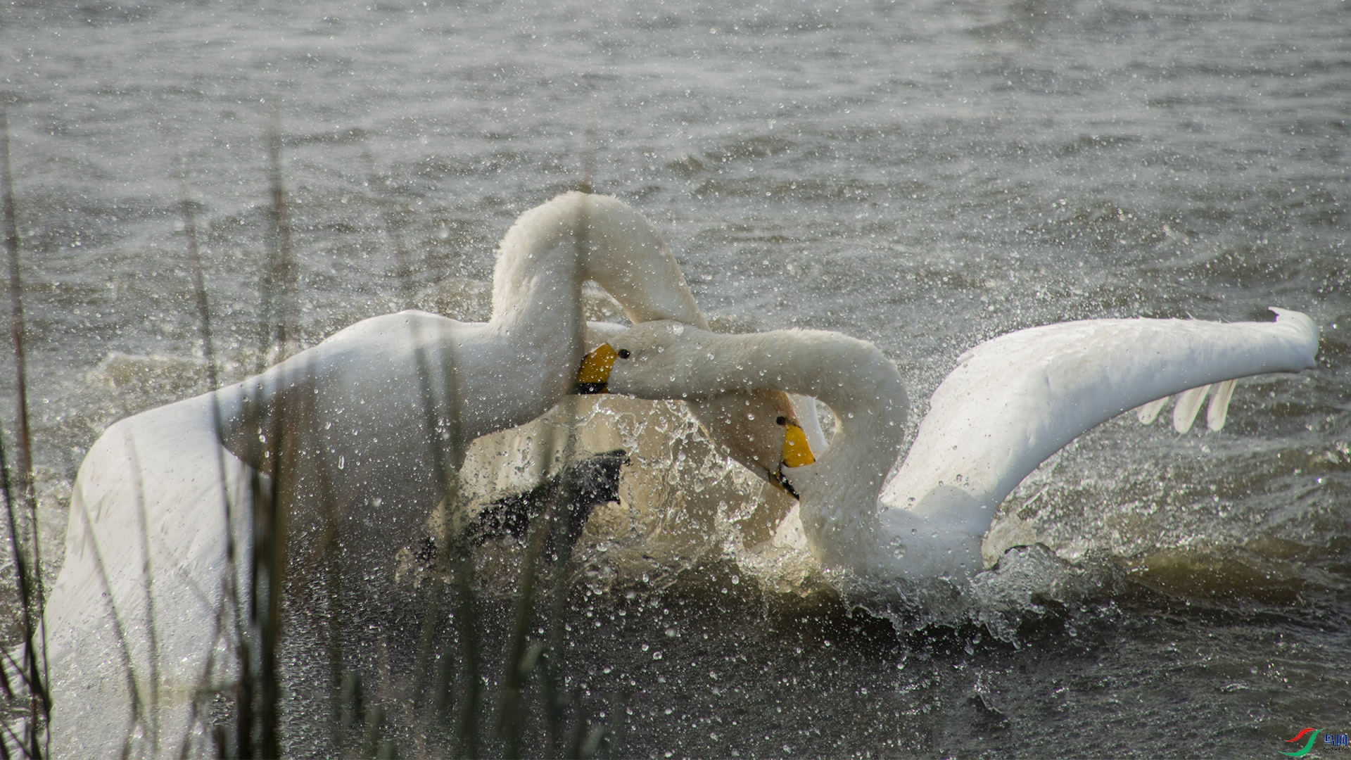 XQD_8102 ����.jpg