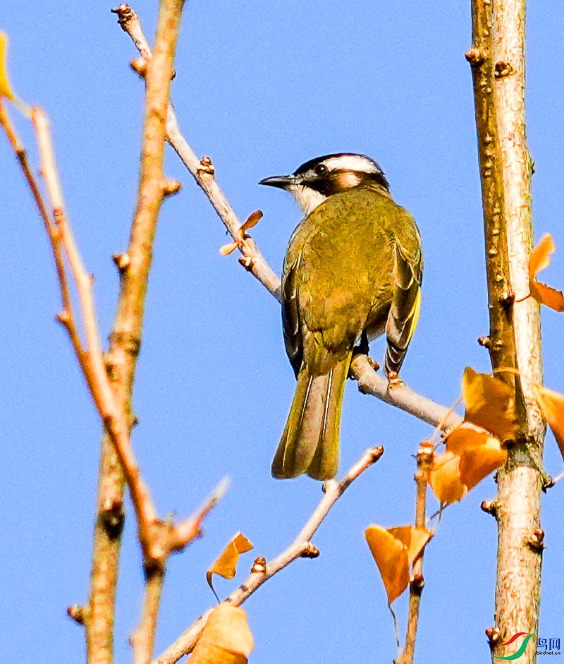 029DSC07886_1_����.jpg