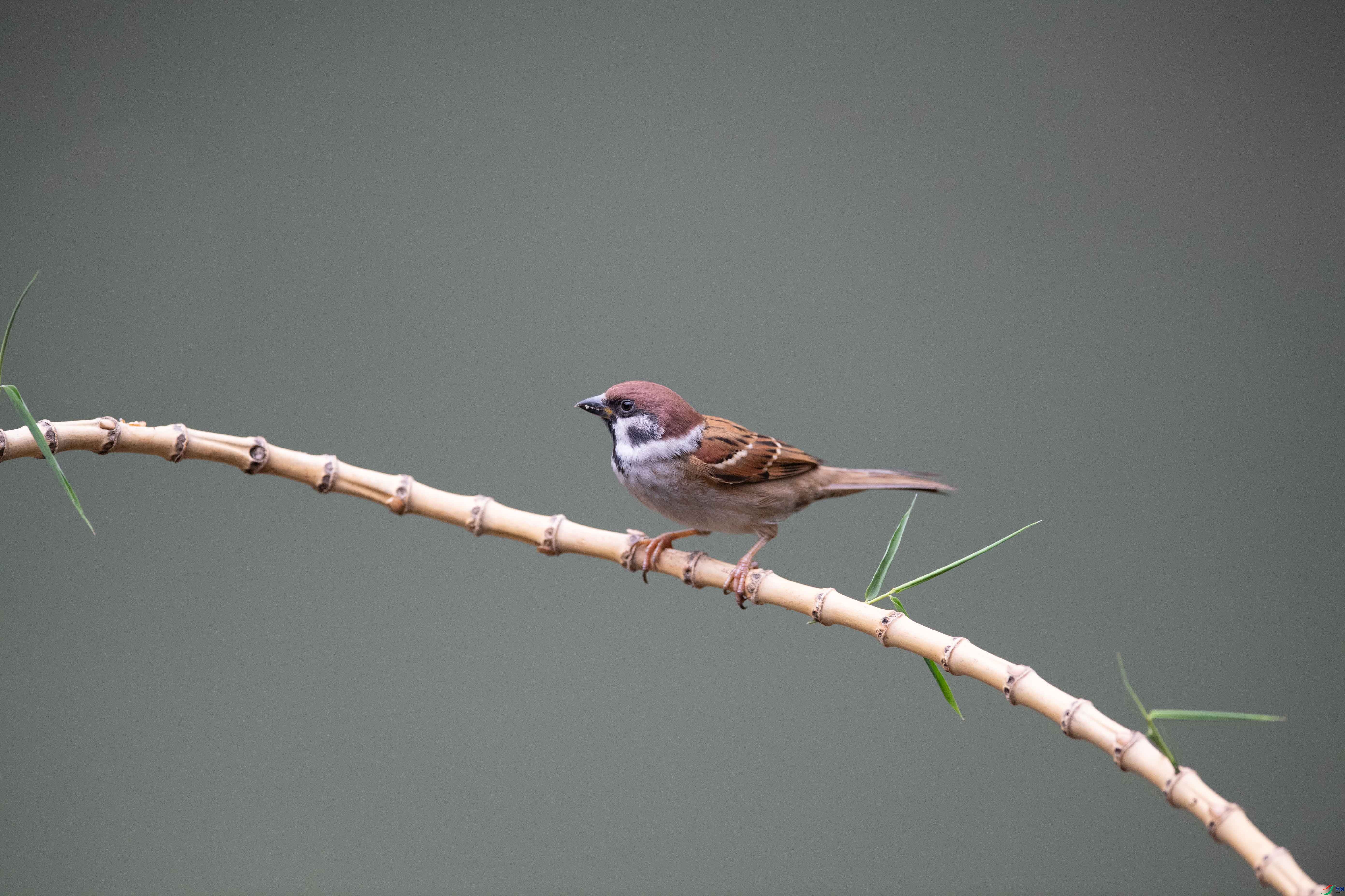 DSC_5178,.jpg