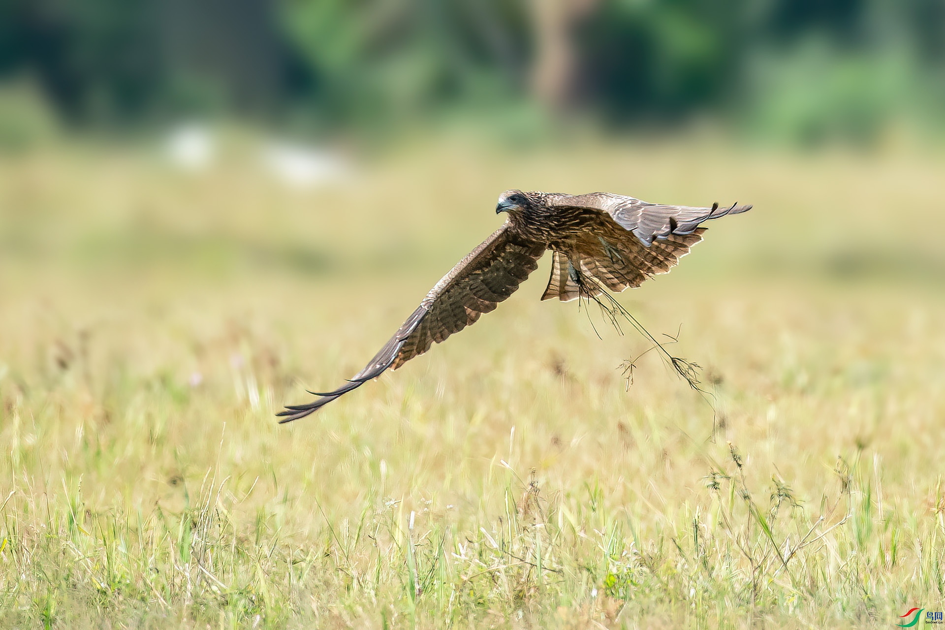 DSC_7173.jpg