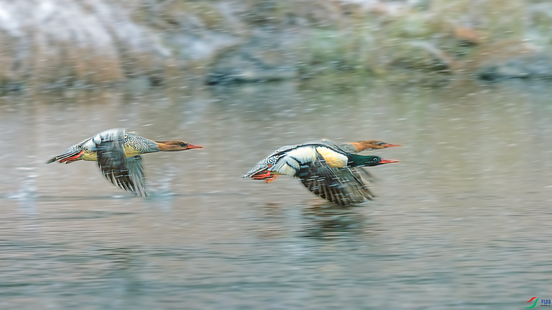 _DSC9145==2w.jpg
