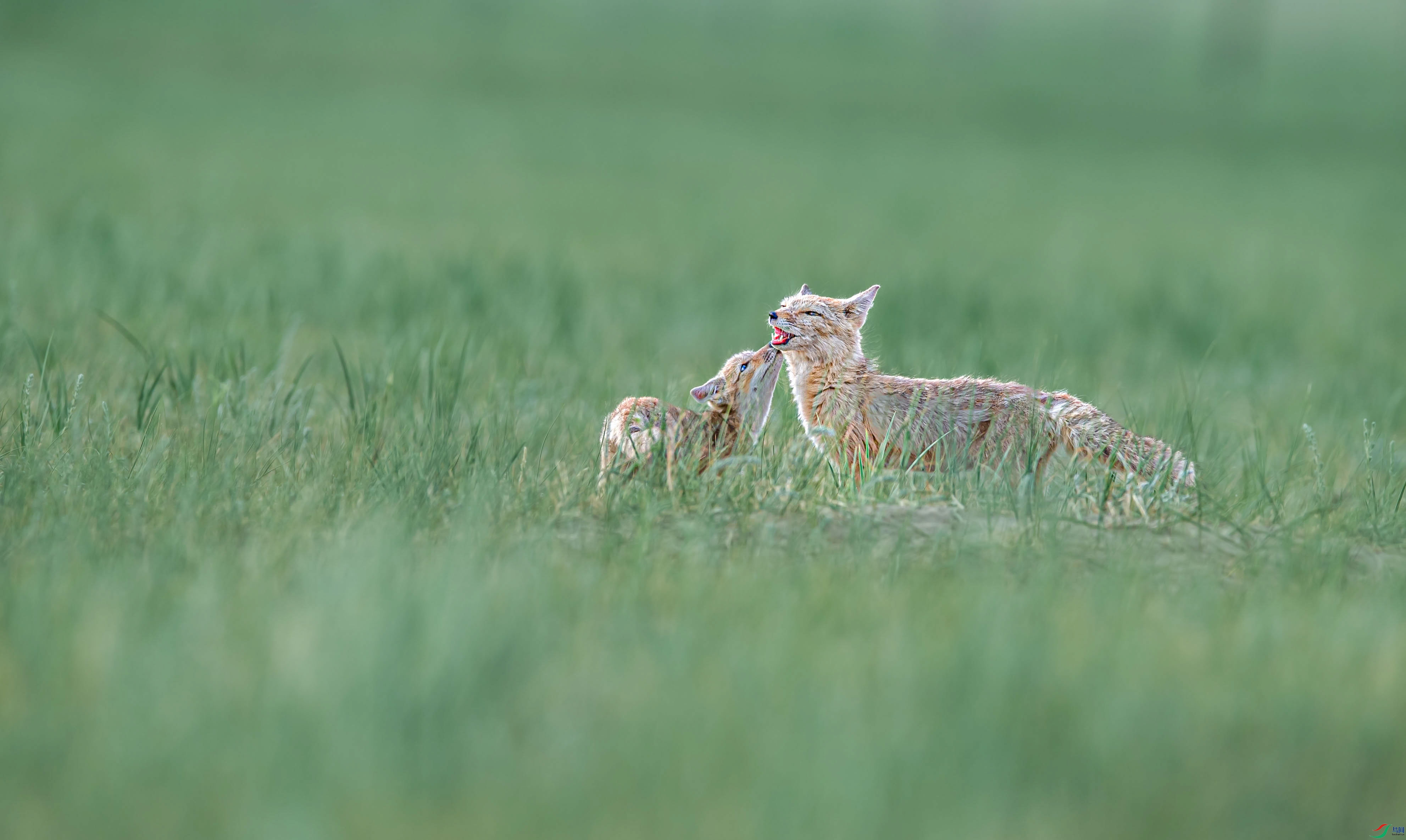 DSC_5707_1.jpg
