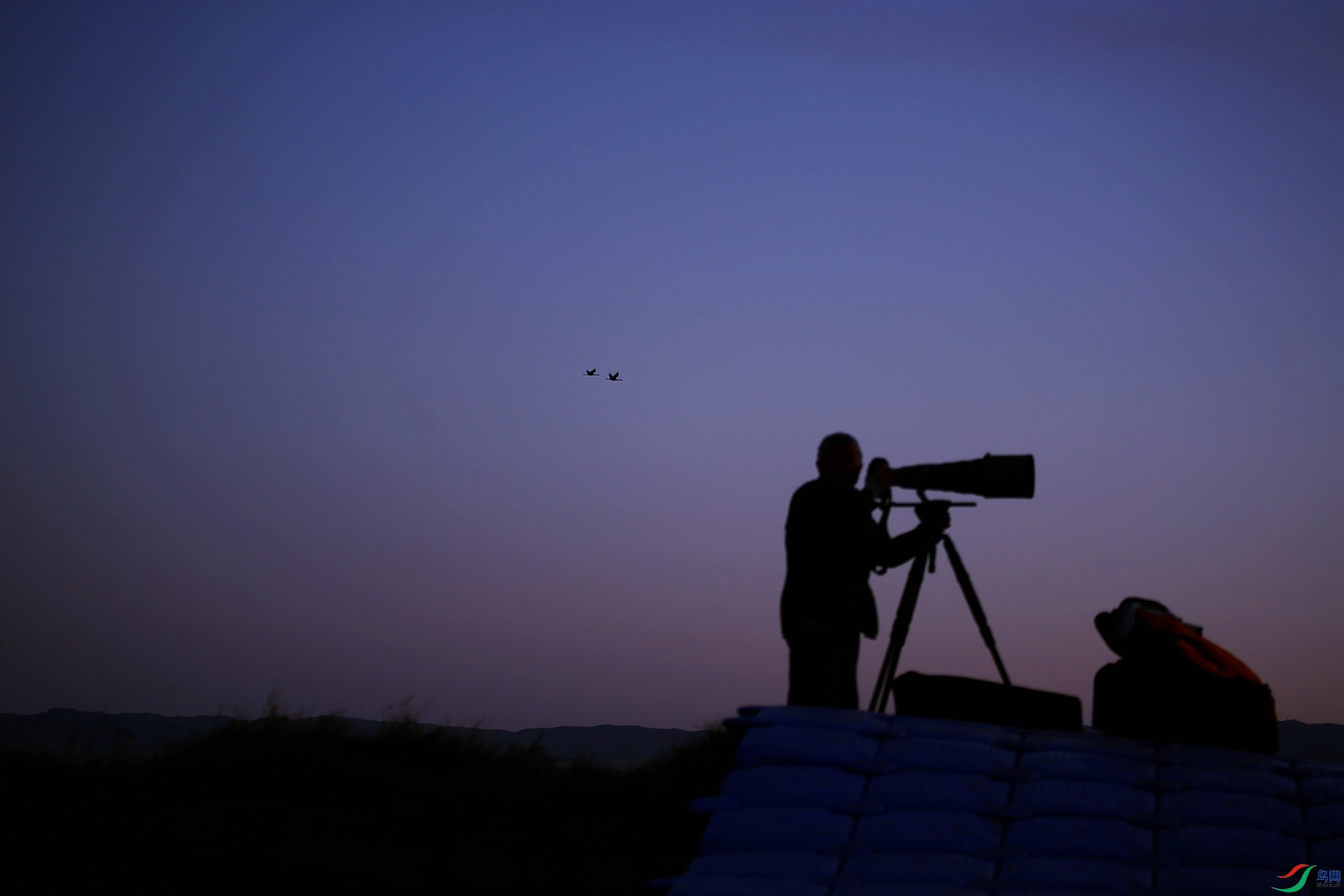 �Ͻ���ת��ǹ�ڡ�