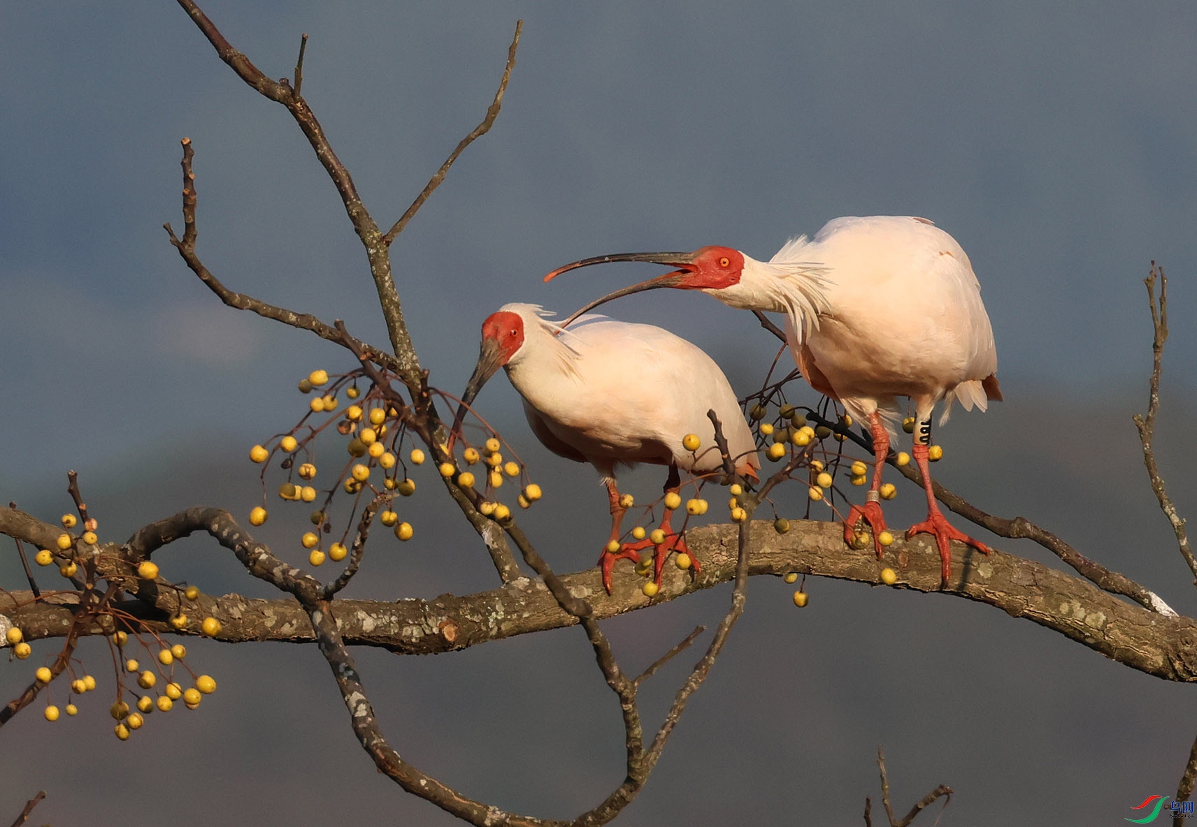 �������µ����� 6E8A7006.jpg