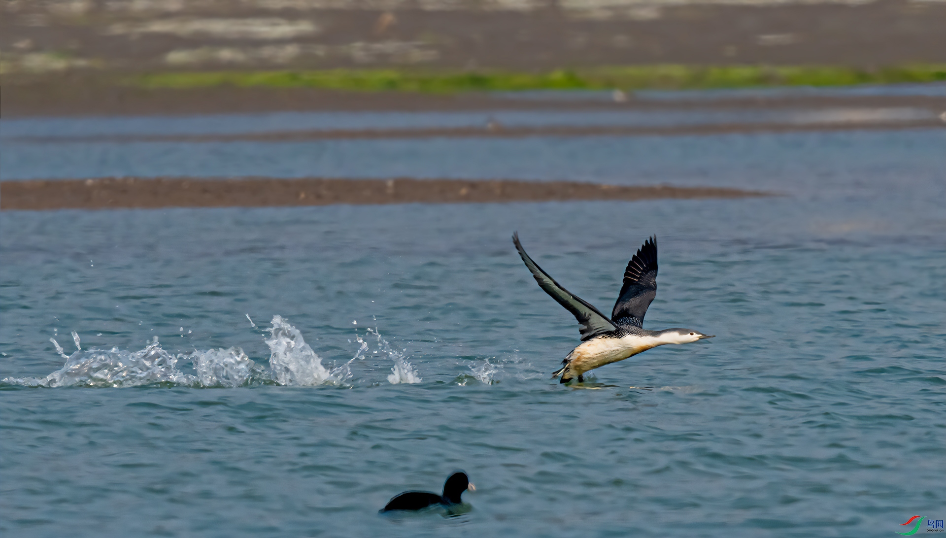 DSC_6100-11.jpg