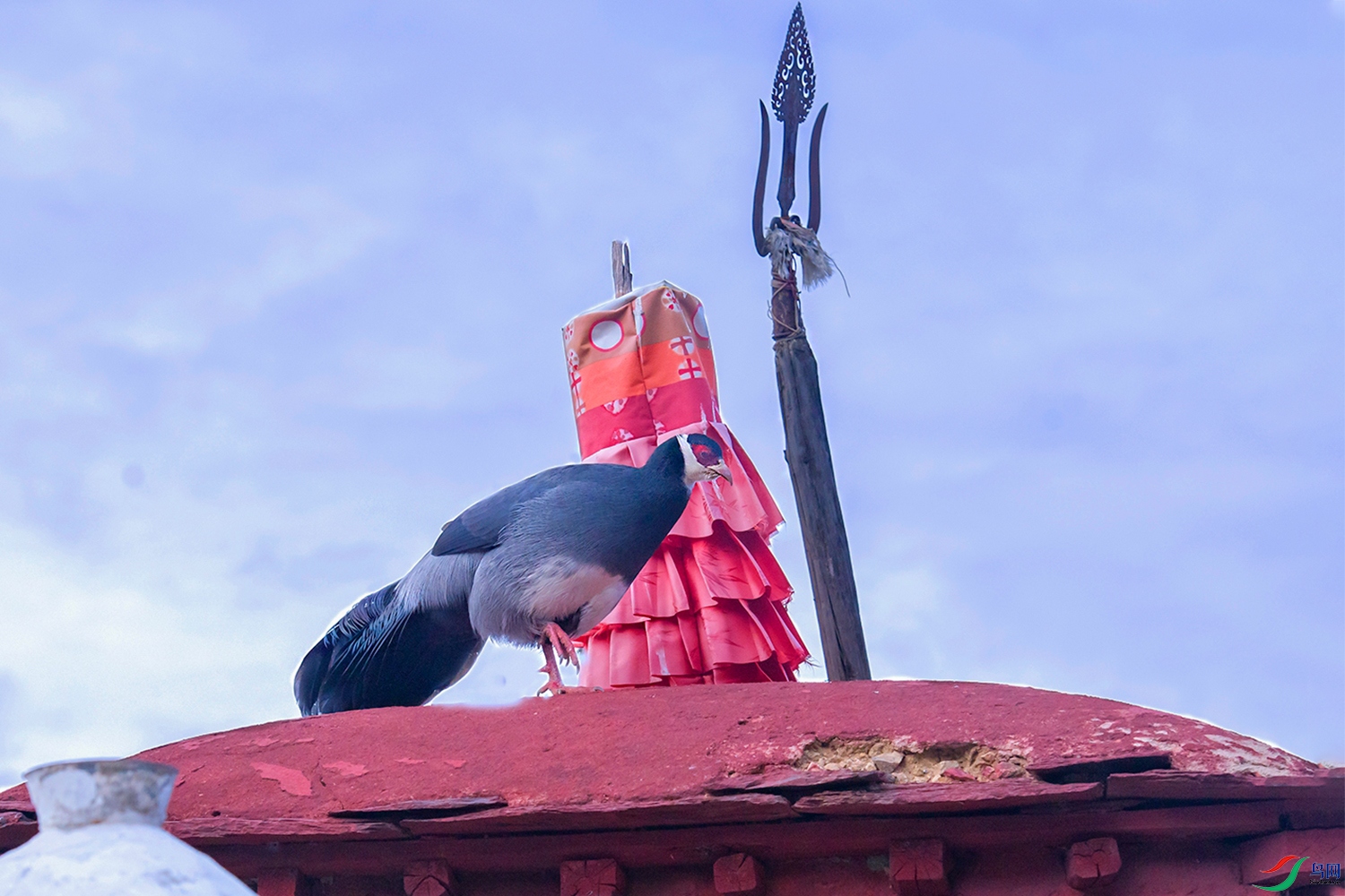 DSC_8046p.jpg