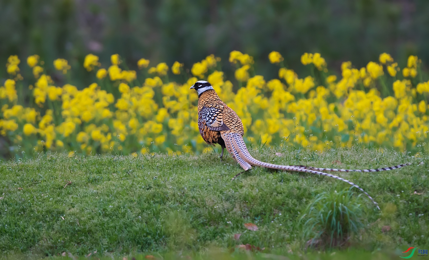 DSC_1420.jpg