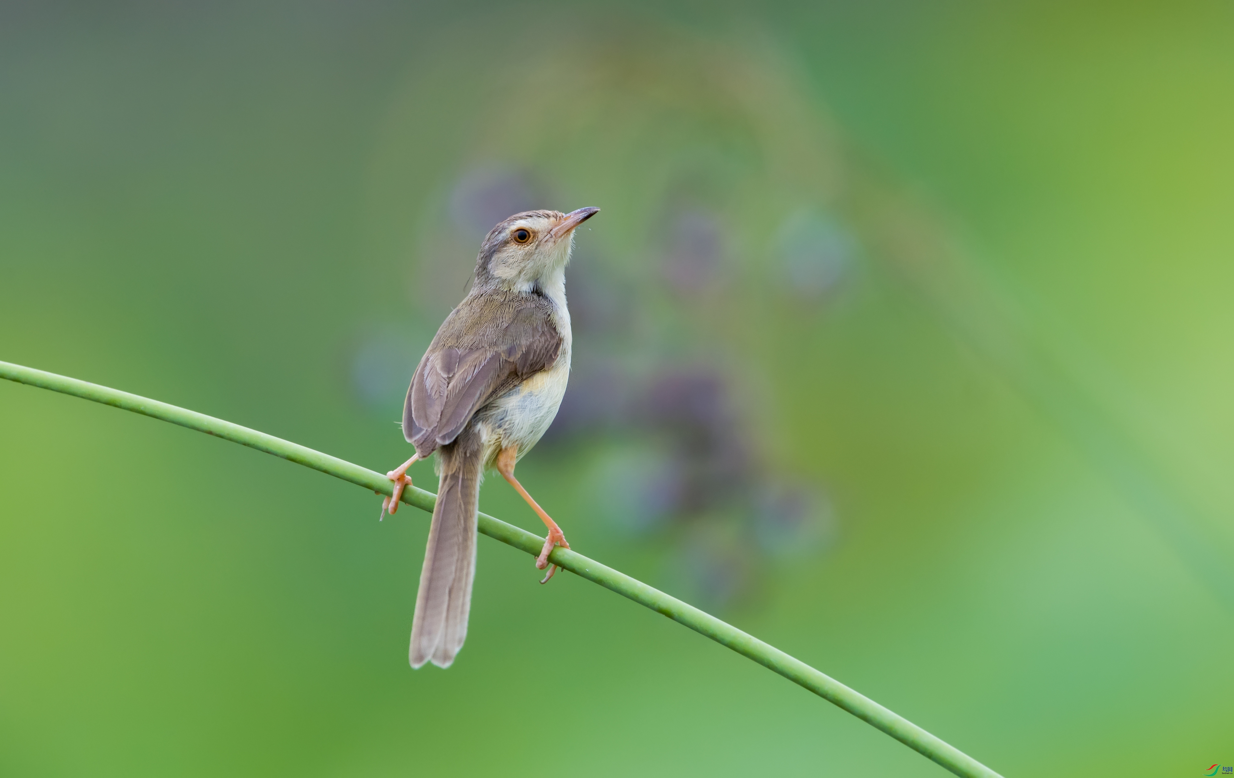 DSC_1506.jpg