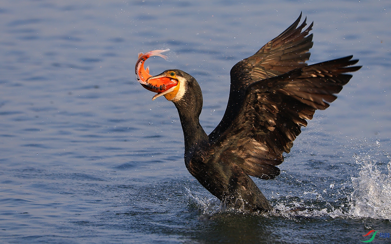 724A0719 ����01.jpg