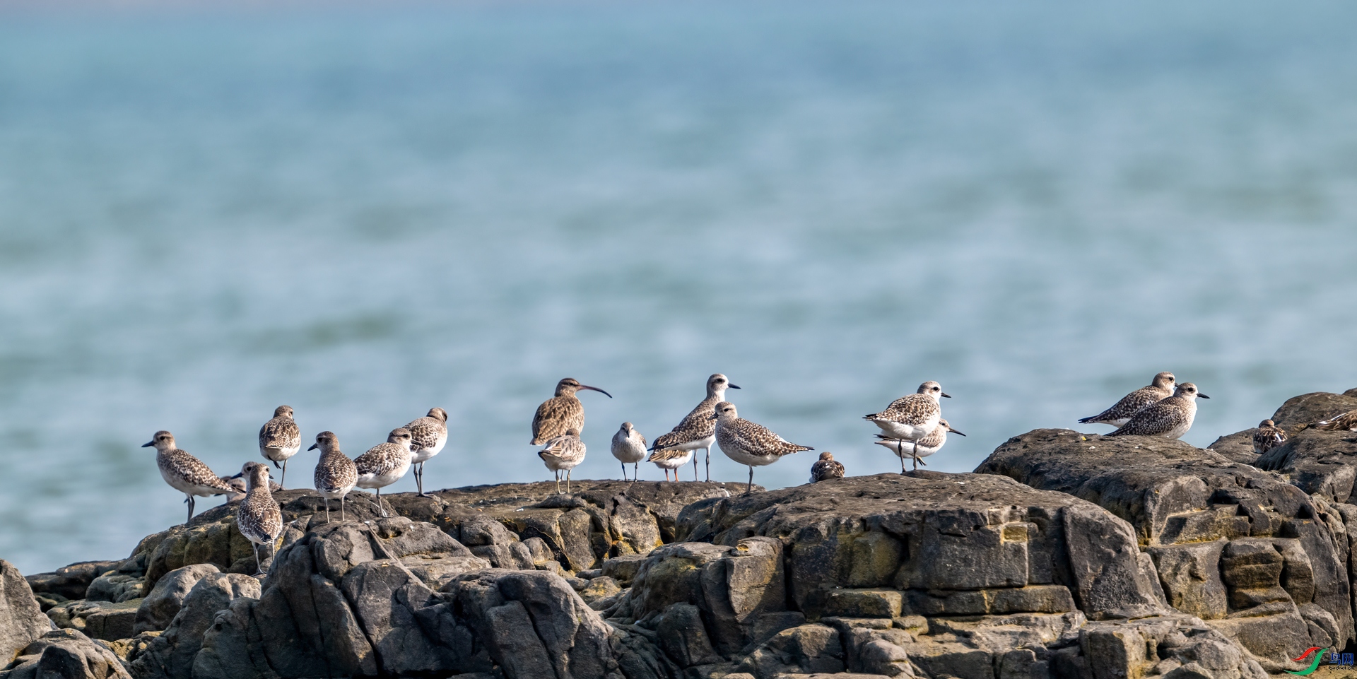 DSC_3063.jpg
