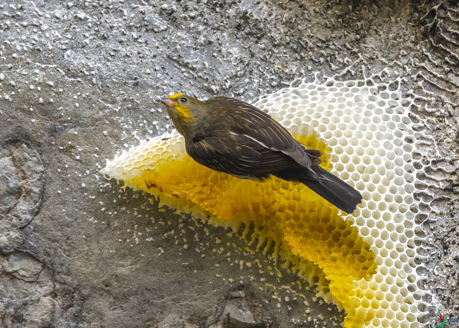 1710 ����.jpg