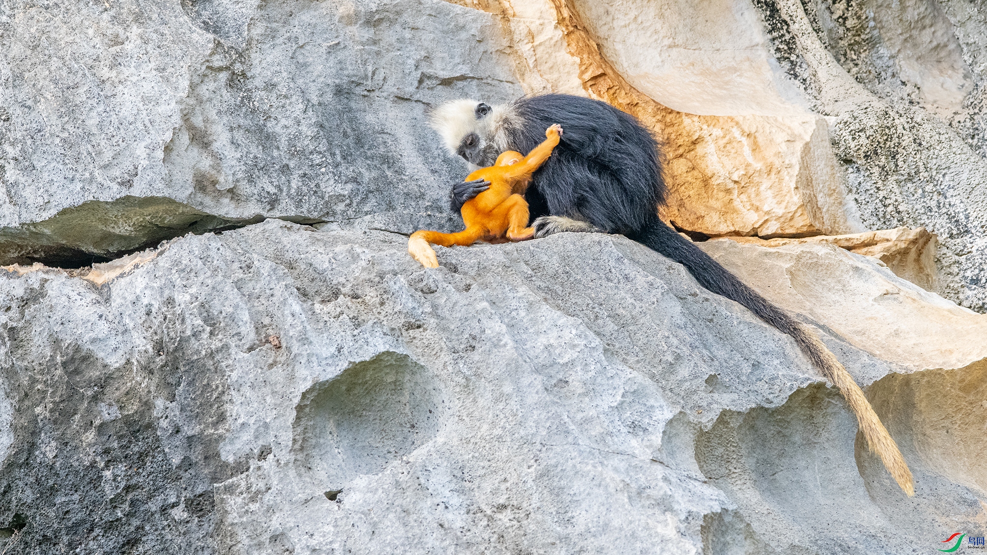 1838 ����.jpg