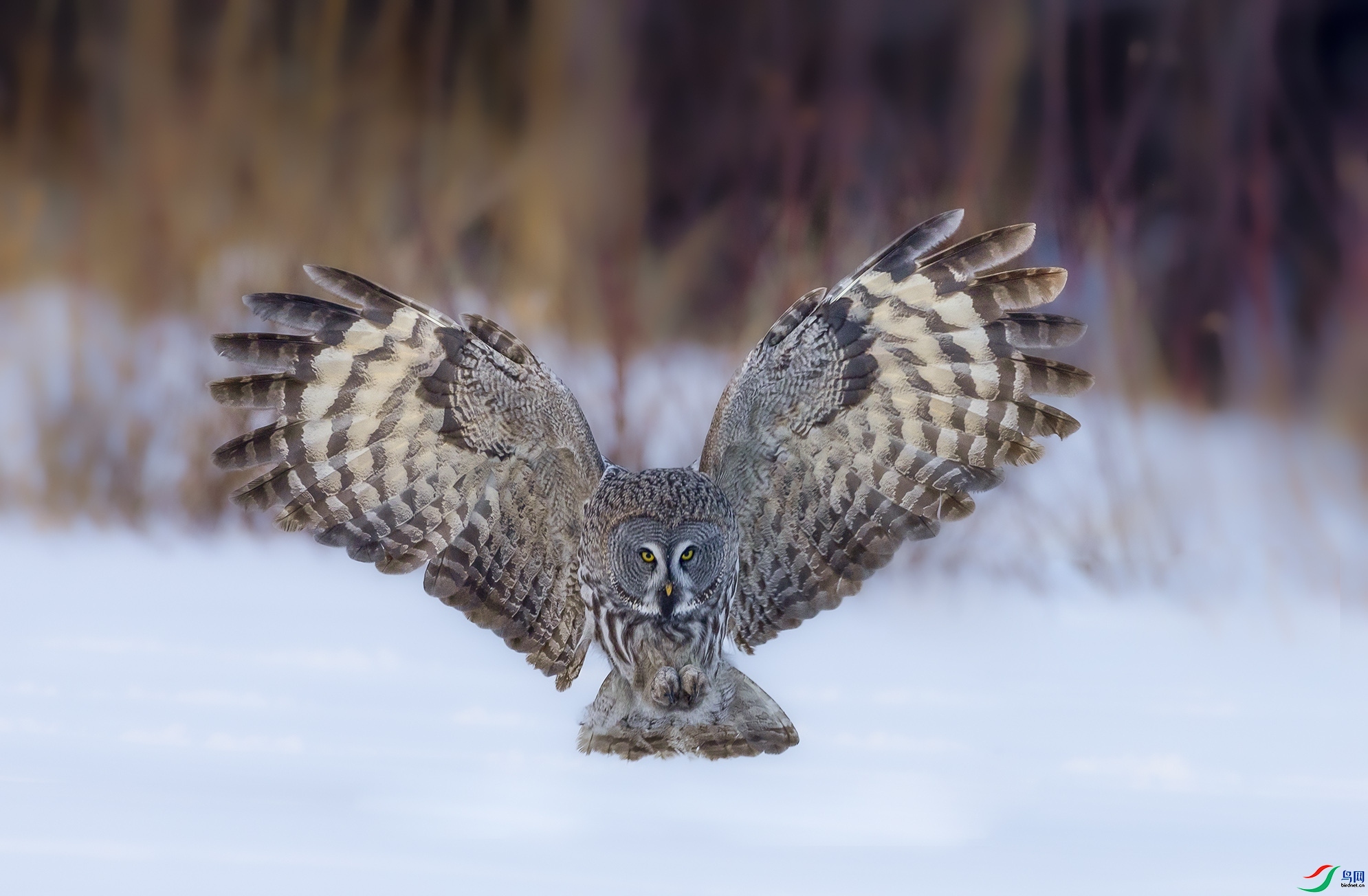 ÿ�ռ���   ����Ŀ��  ���� ־�գ���˳���ܶ�.jpg