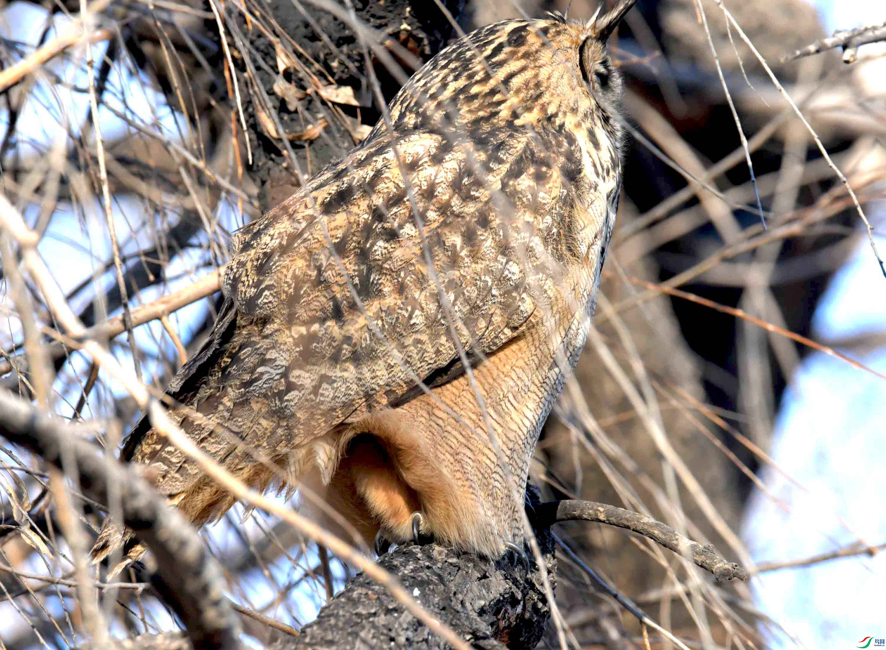 DSC_6331.JPG