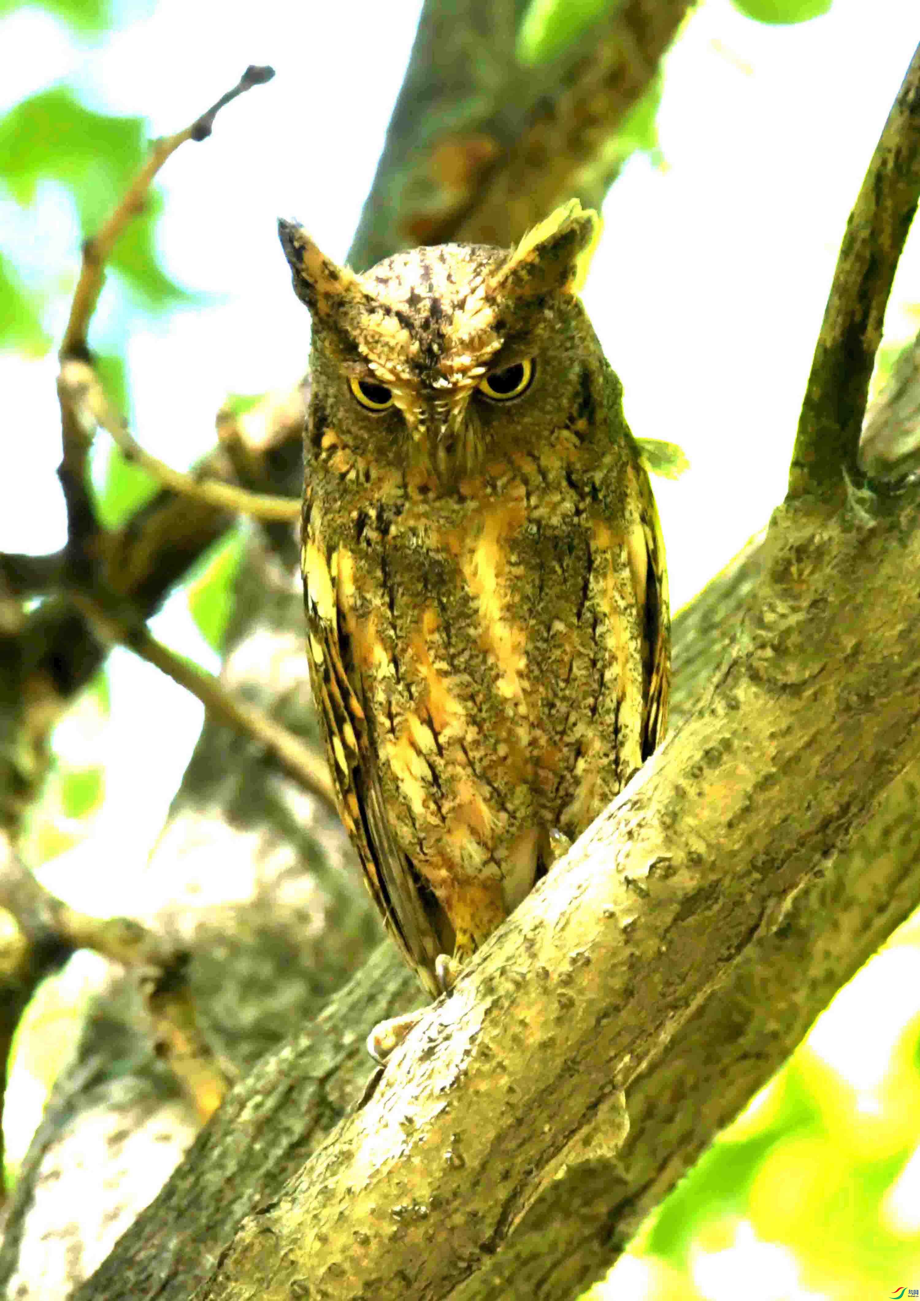 DSC_8063.JPG