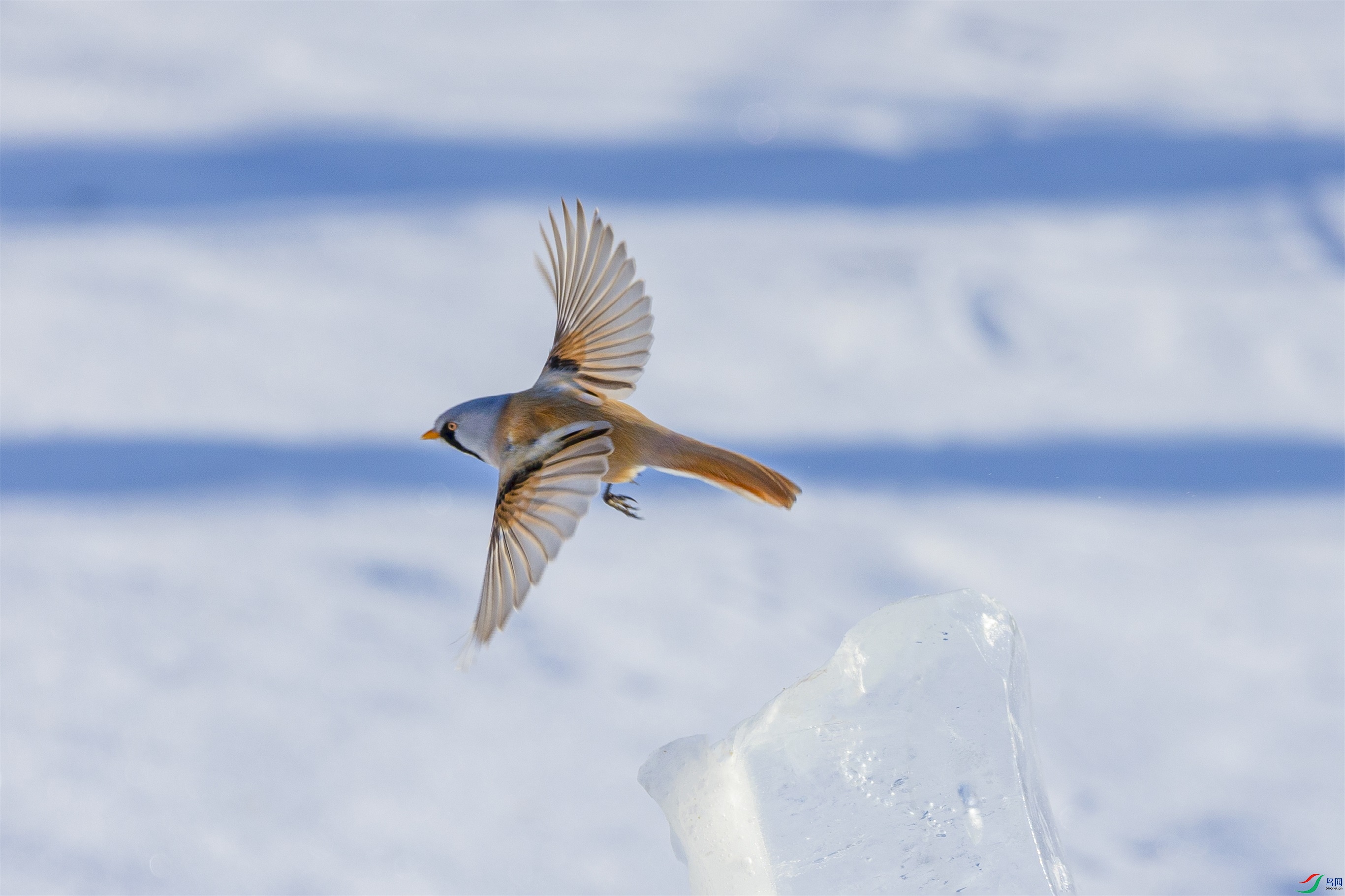 1K3A0128 ����1.jpg