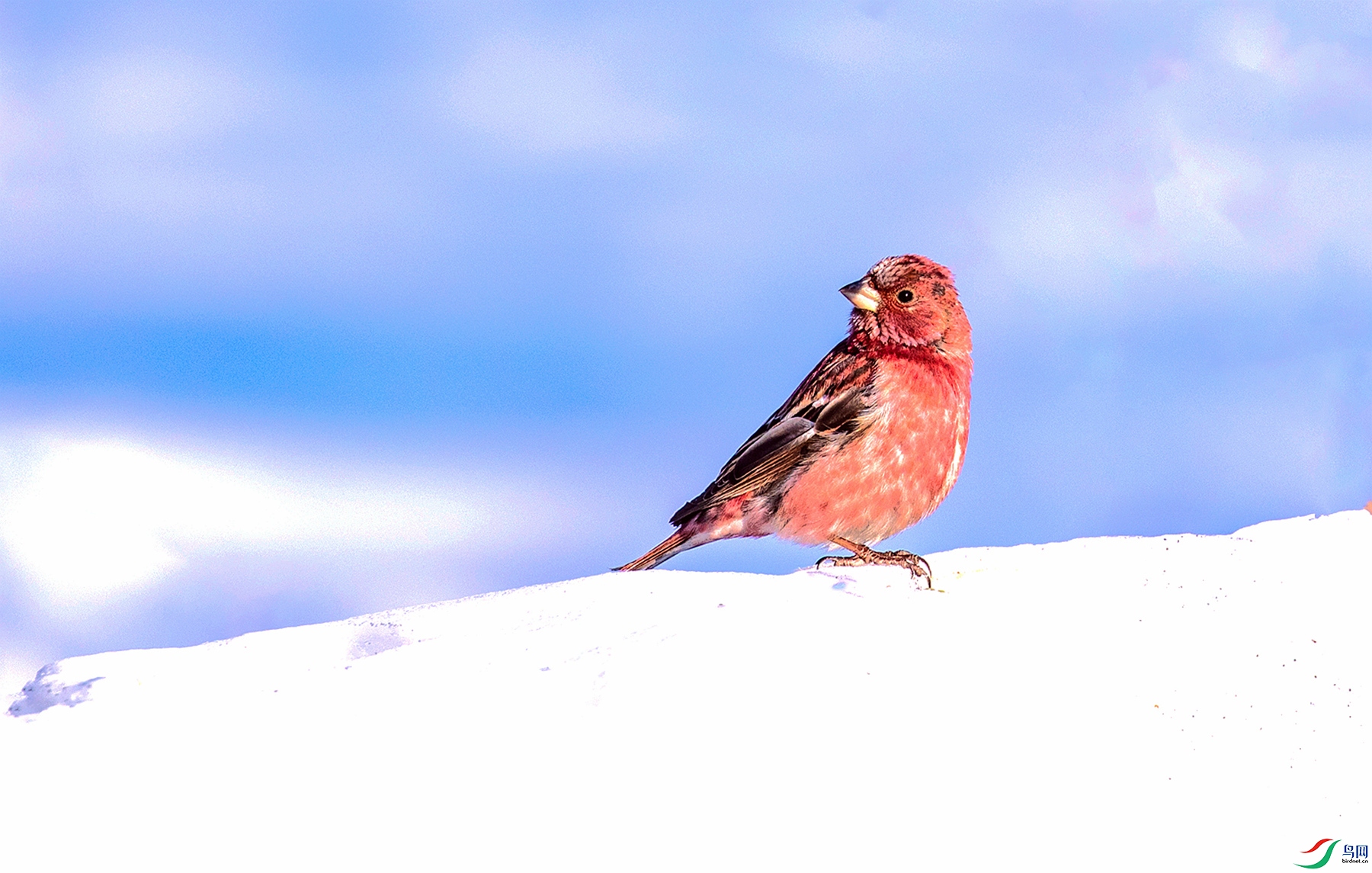 ���ѩ�� ����ȸ (1)_����.jpg