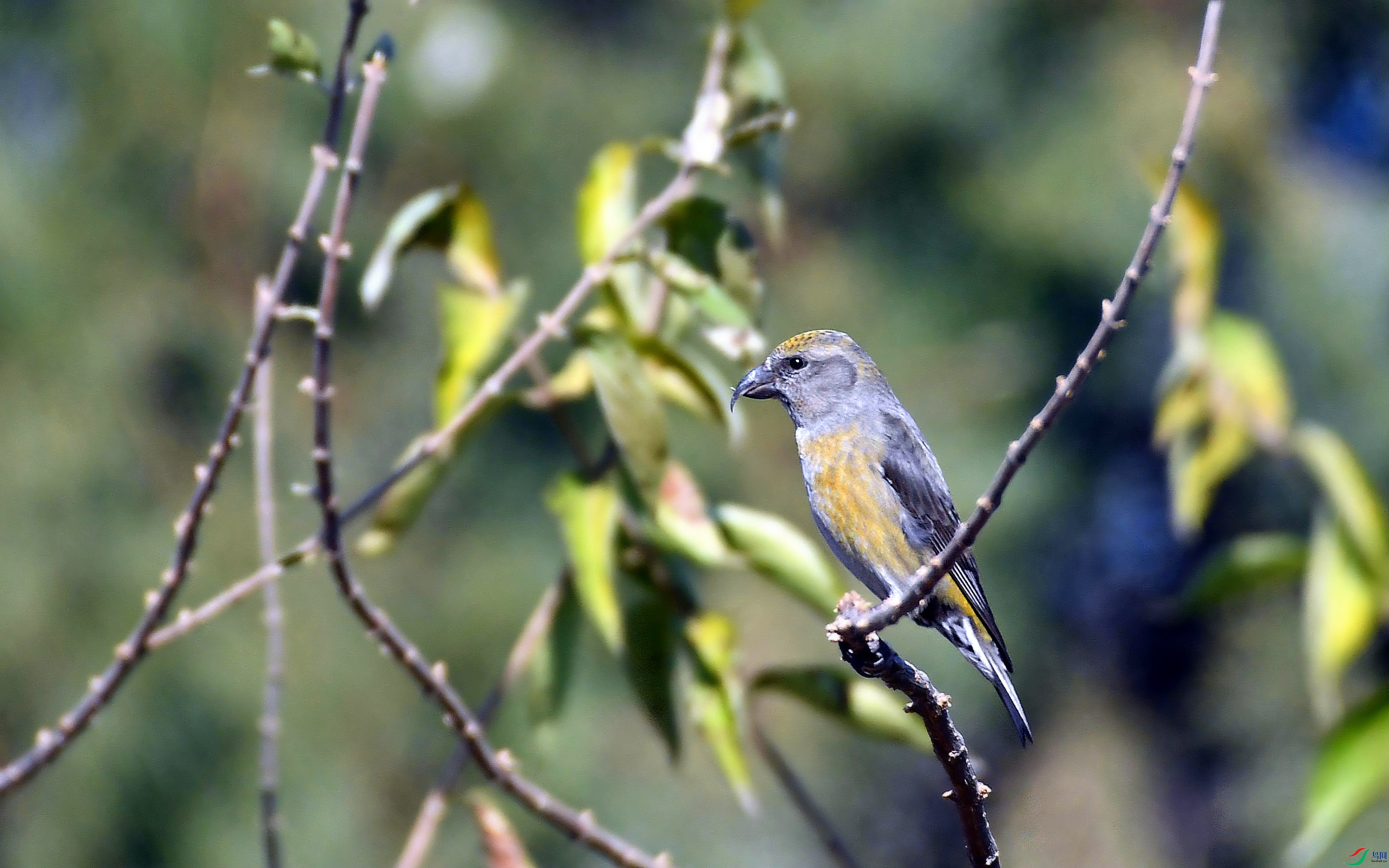 DSC_4308.JPG