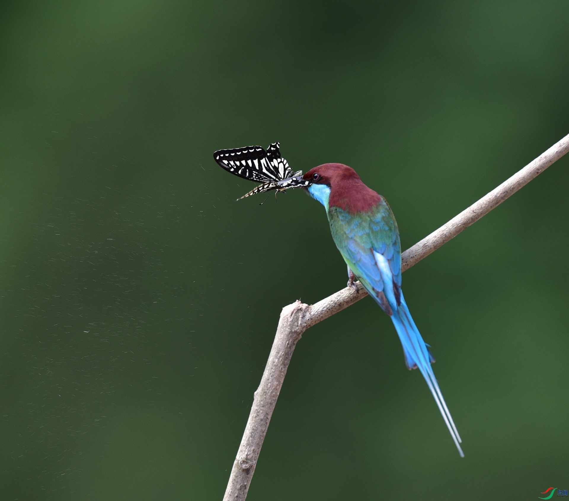 D8I_5802.jpg