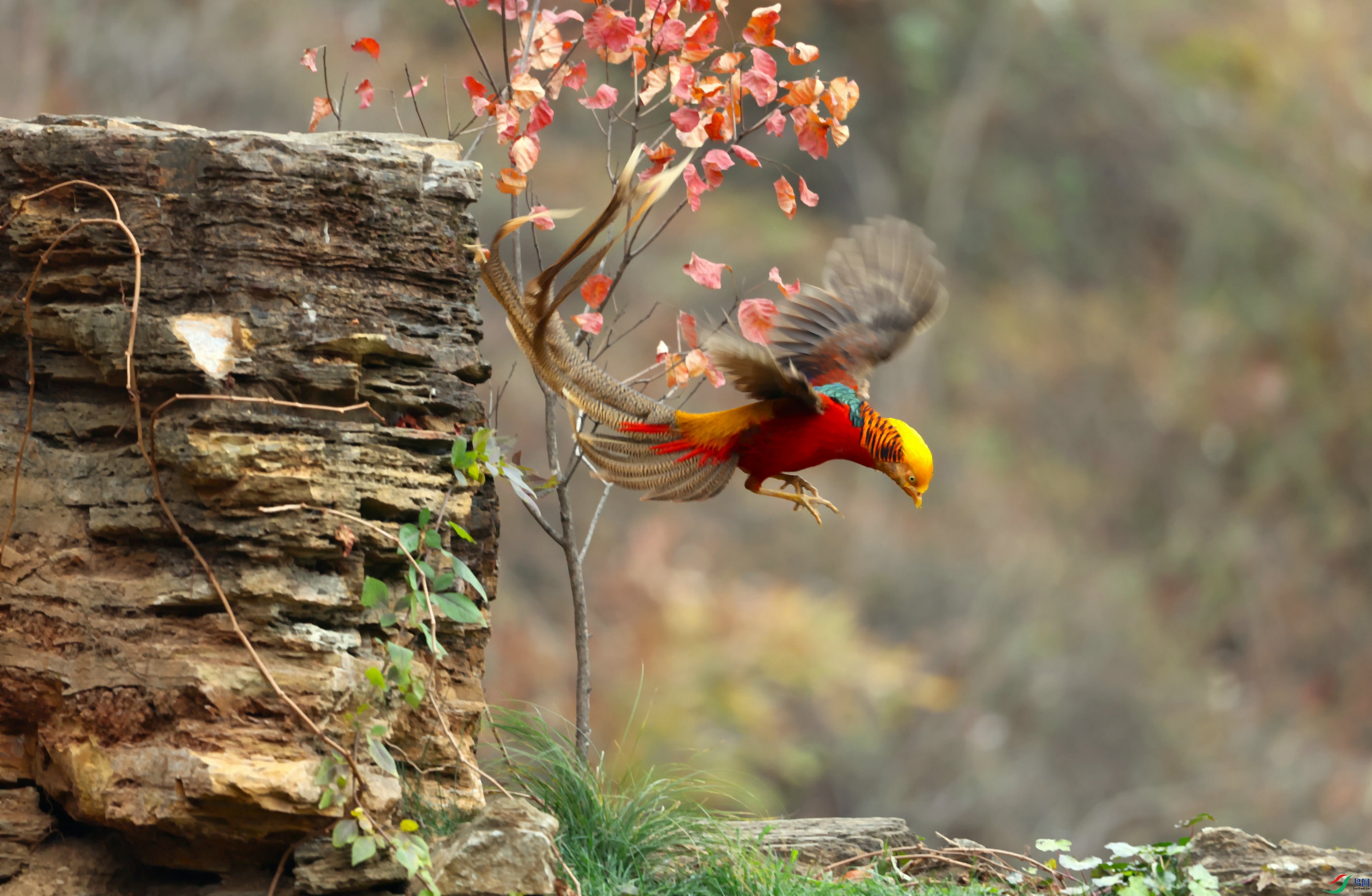 �츹���� 2023-11-25 ���ϡ�Ȫˮ�塱 001.jpg