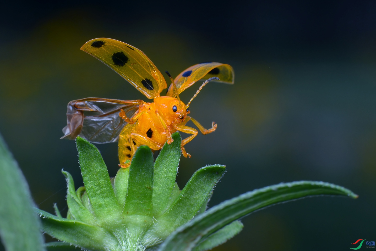 DSC_3200 ����.jpg