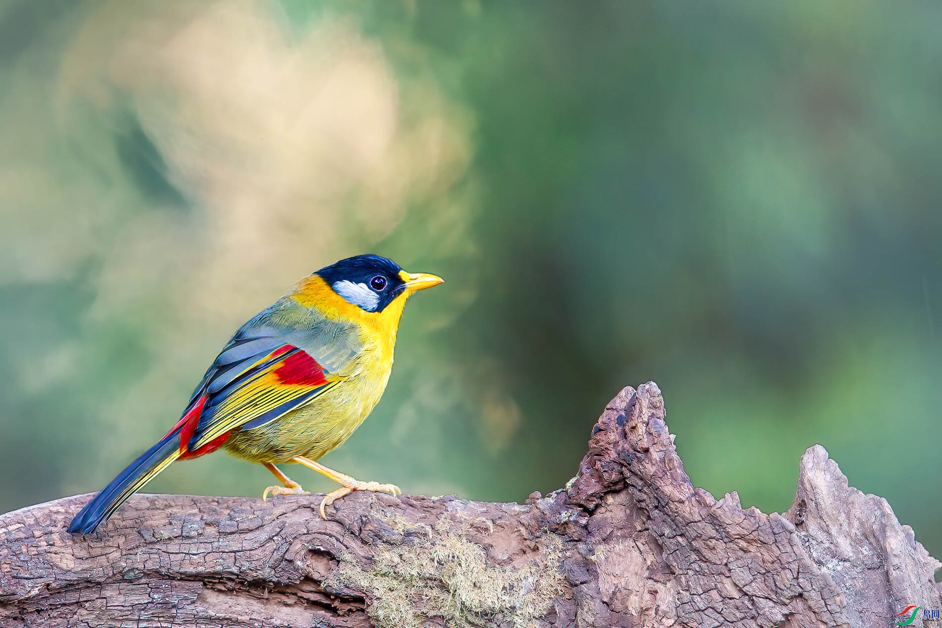 a_17274-1.jpg