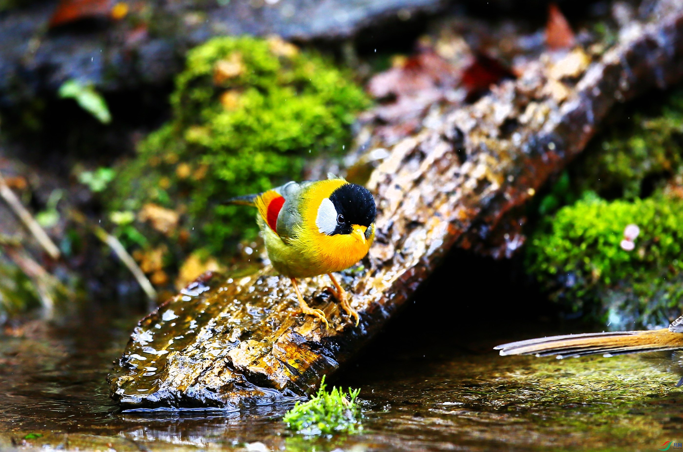 ������˼ȸ (40).JPG