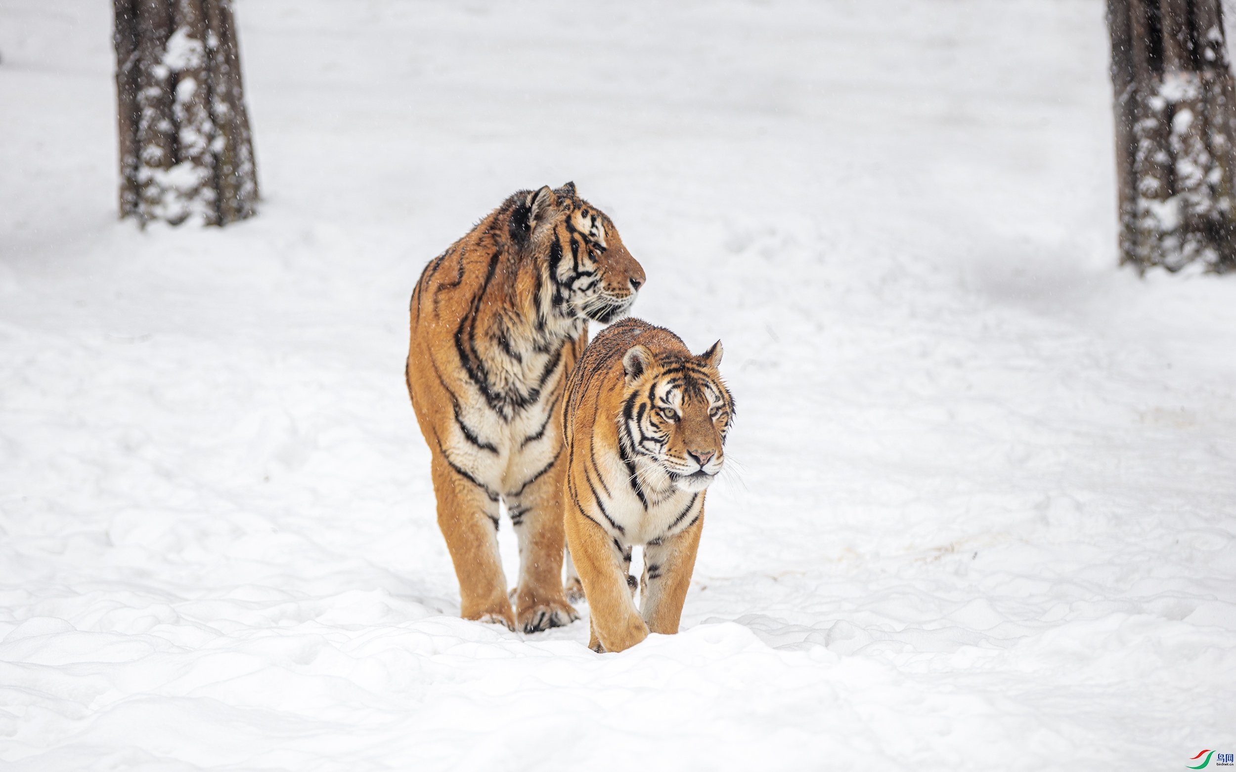 CB0A8996 ����1.jpg