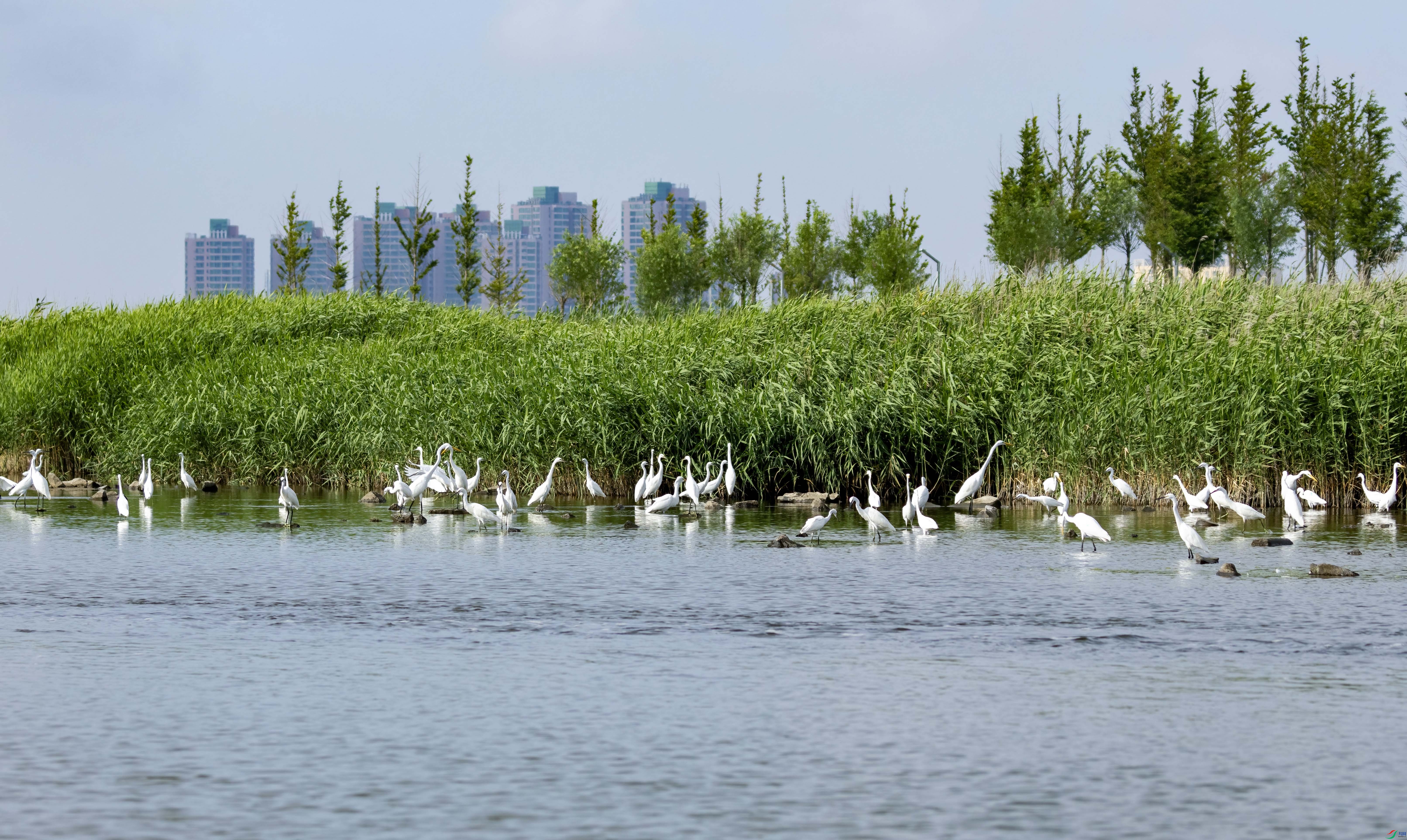 1V3A2912 ����.jpg