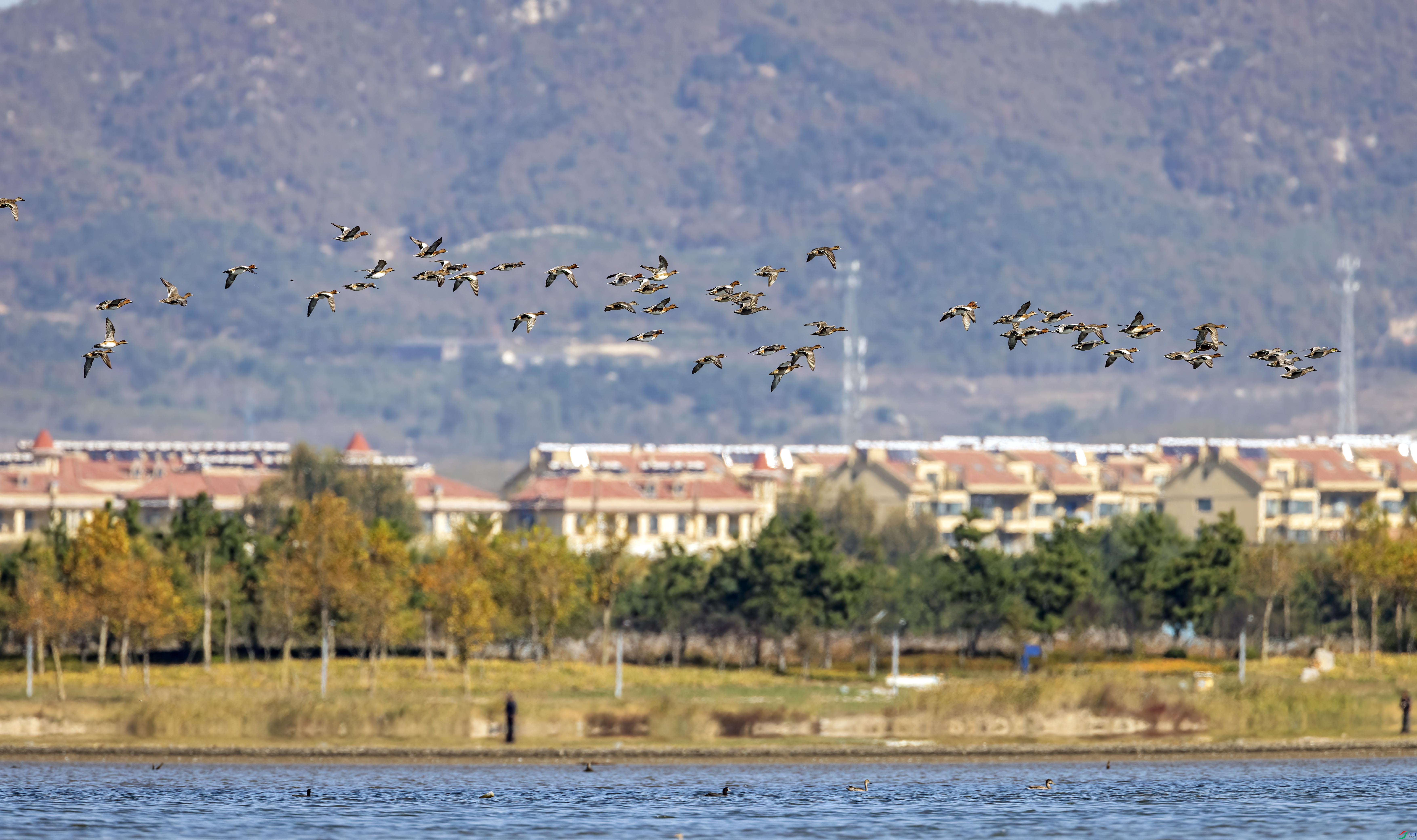 1I3A4489 ����.jpg