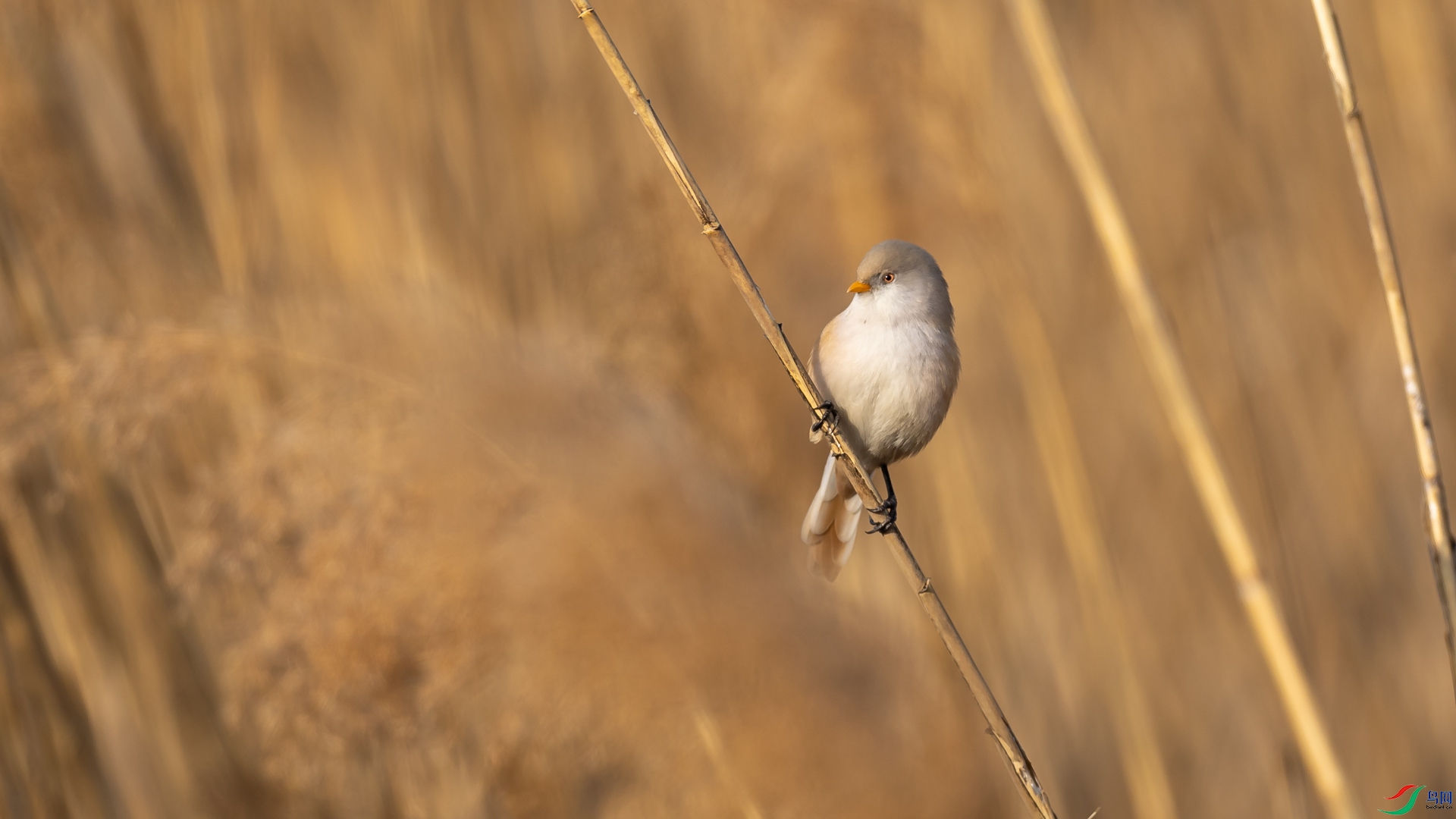 a_304571.jpg