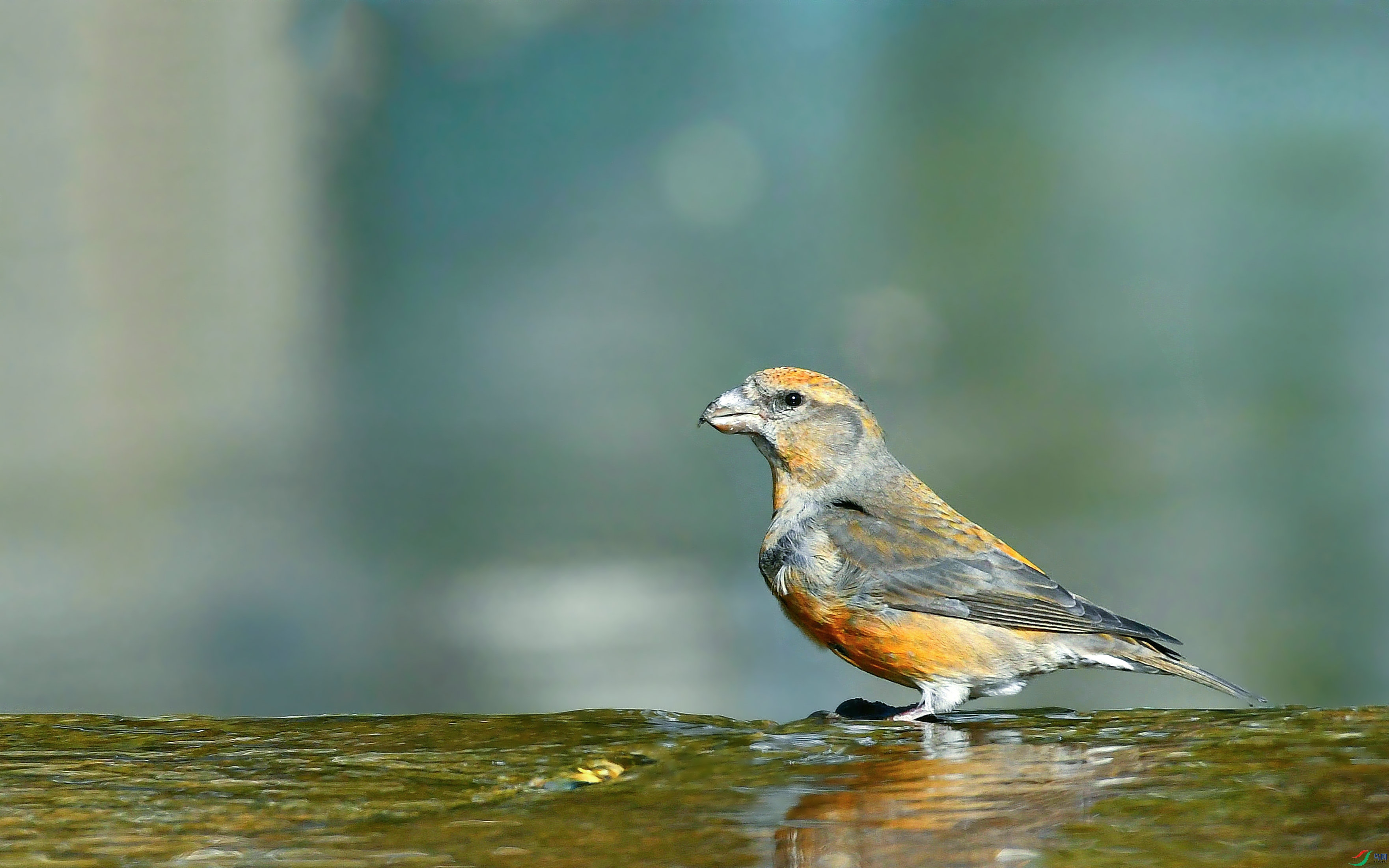DSC_3407.JPG