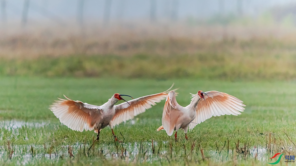 hnxyR221109 (157)_DxO.jpg