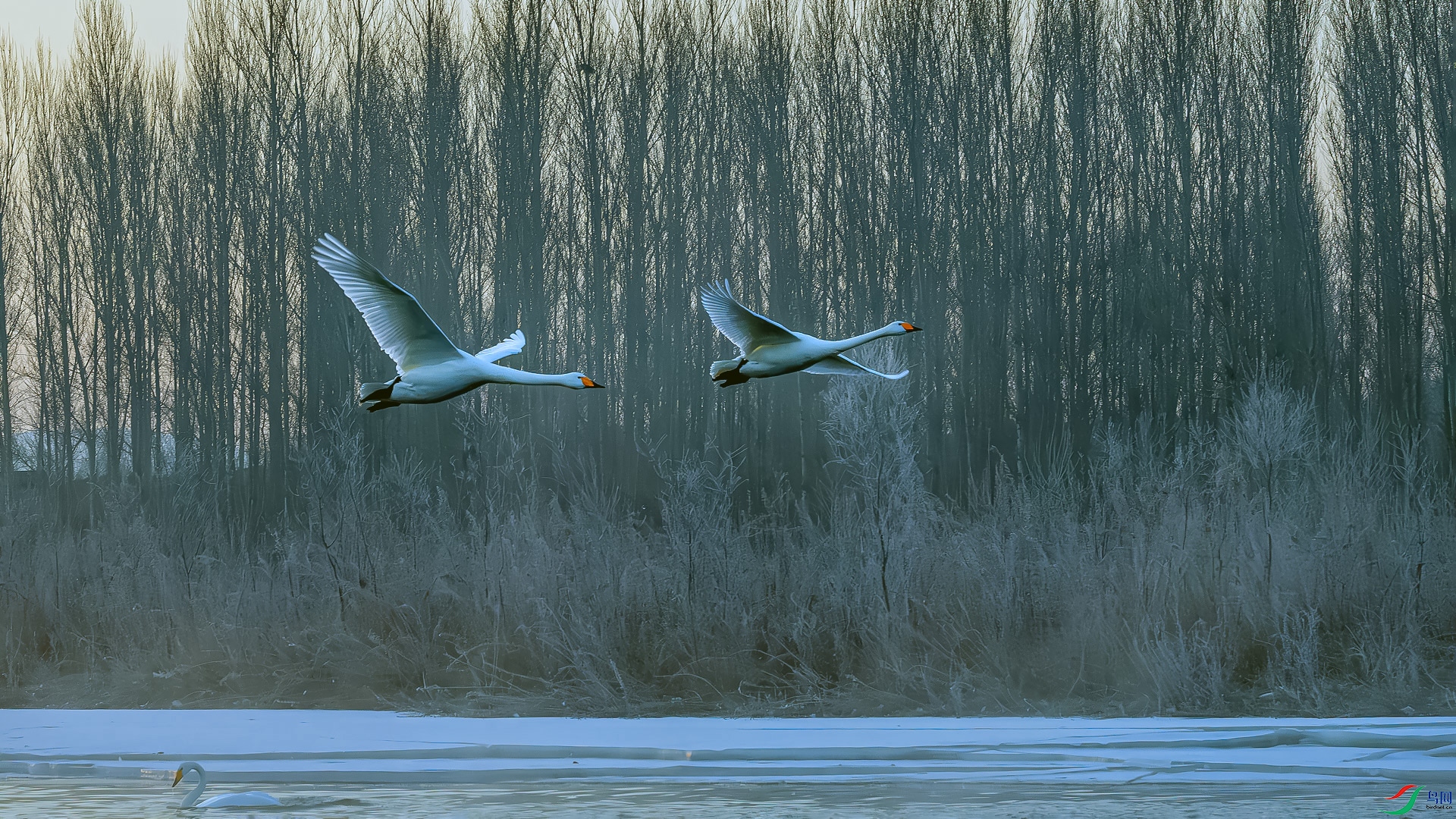 _DSC2080==1w.jpg